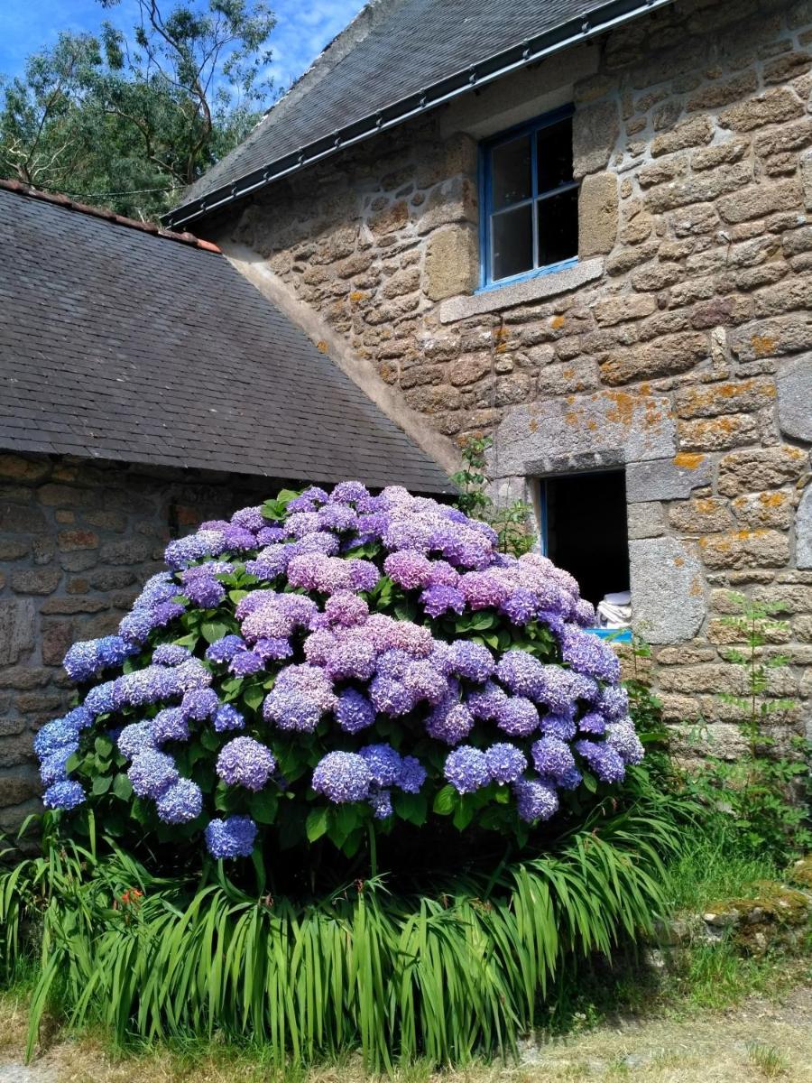 Photo 28