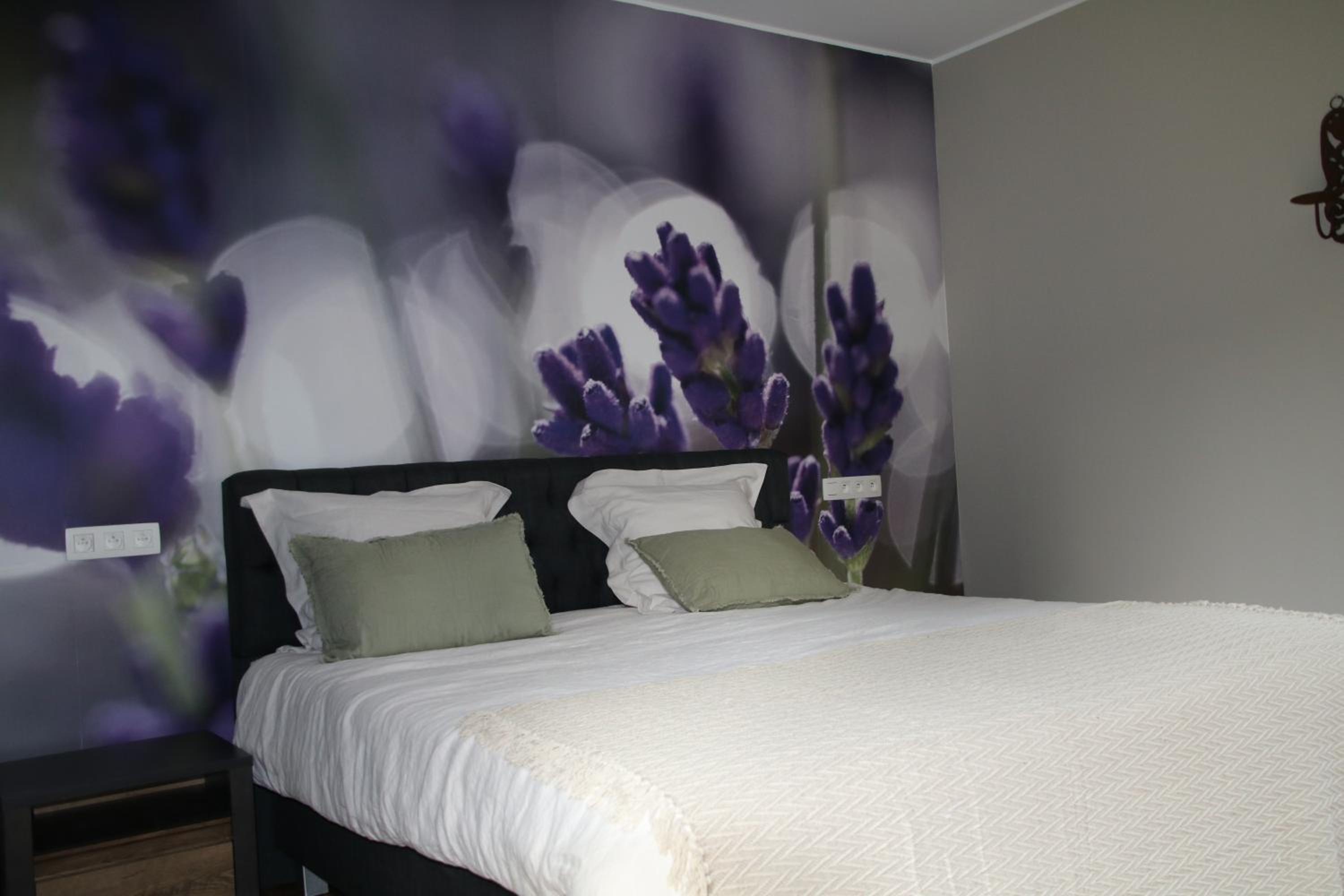 B&B Het Doctershoes