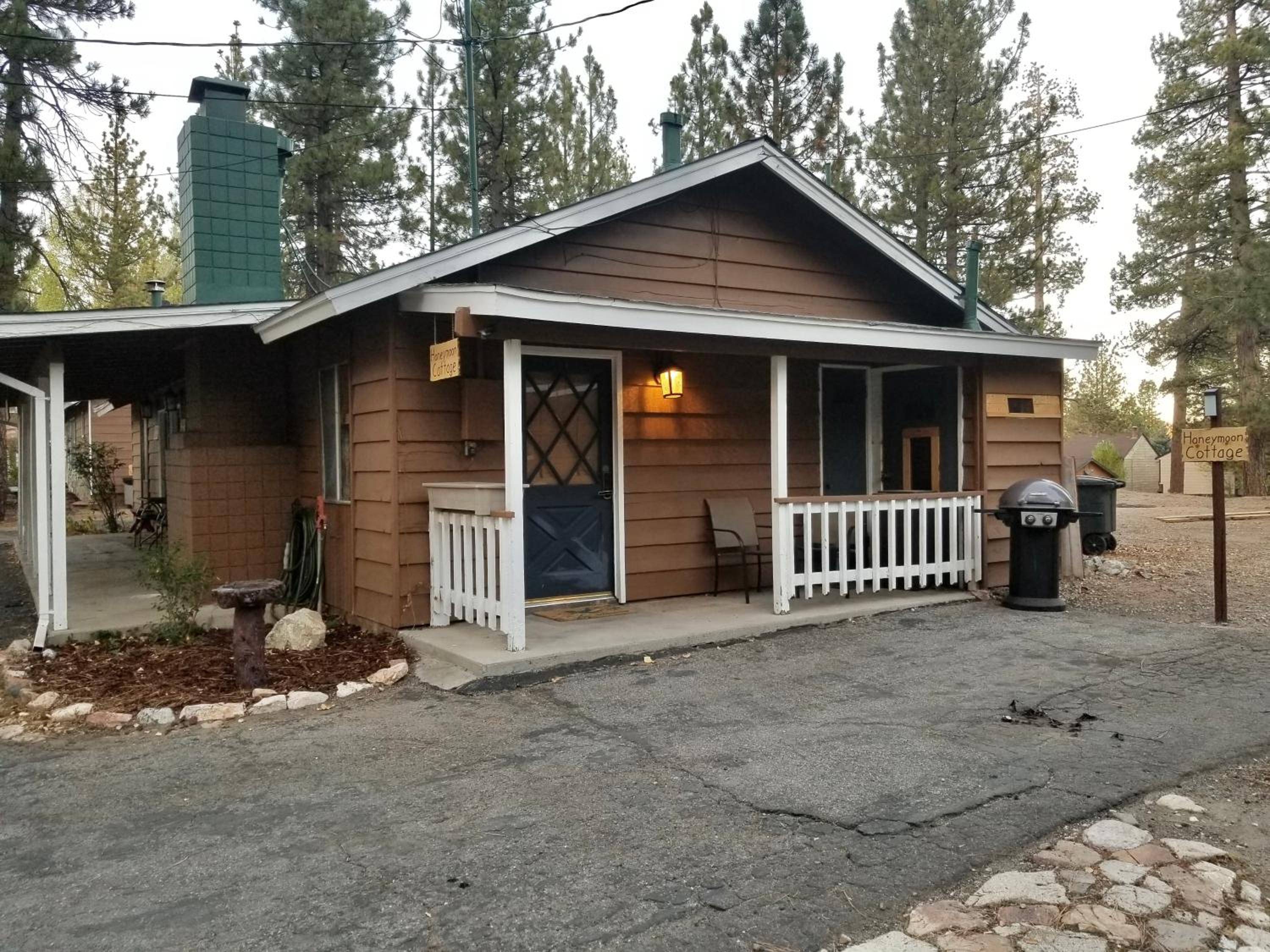 Grey Squirrel Resort
