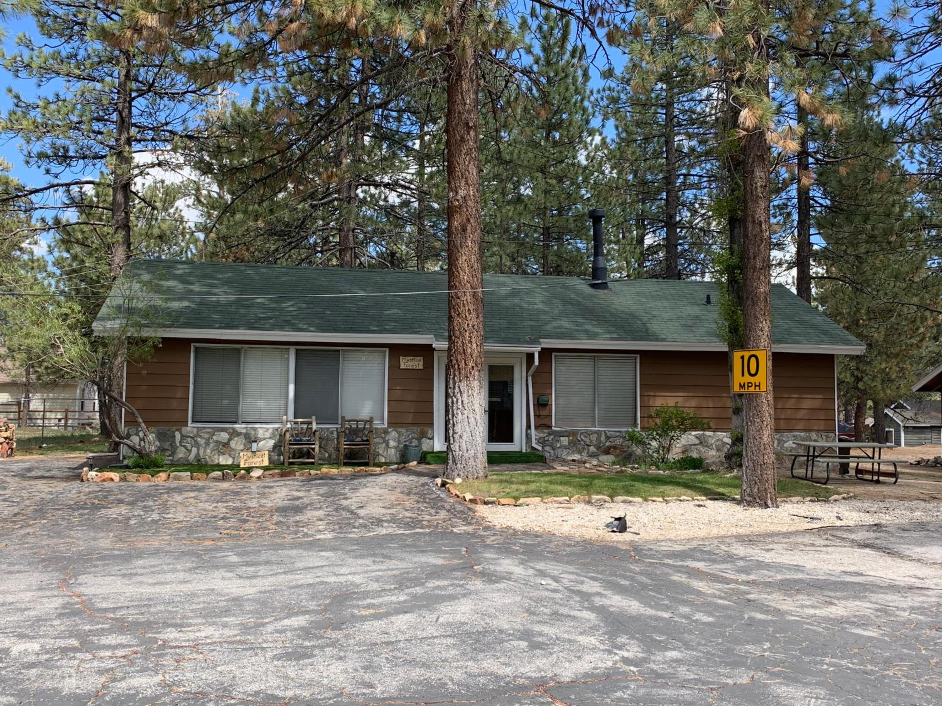 Grey Squirrel Resort