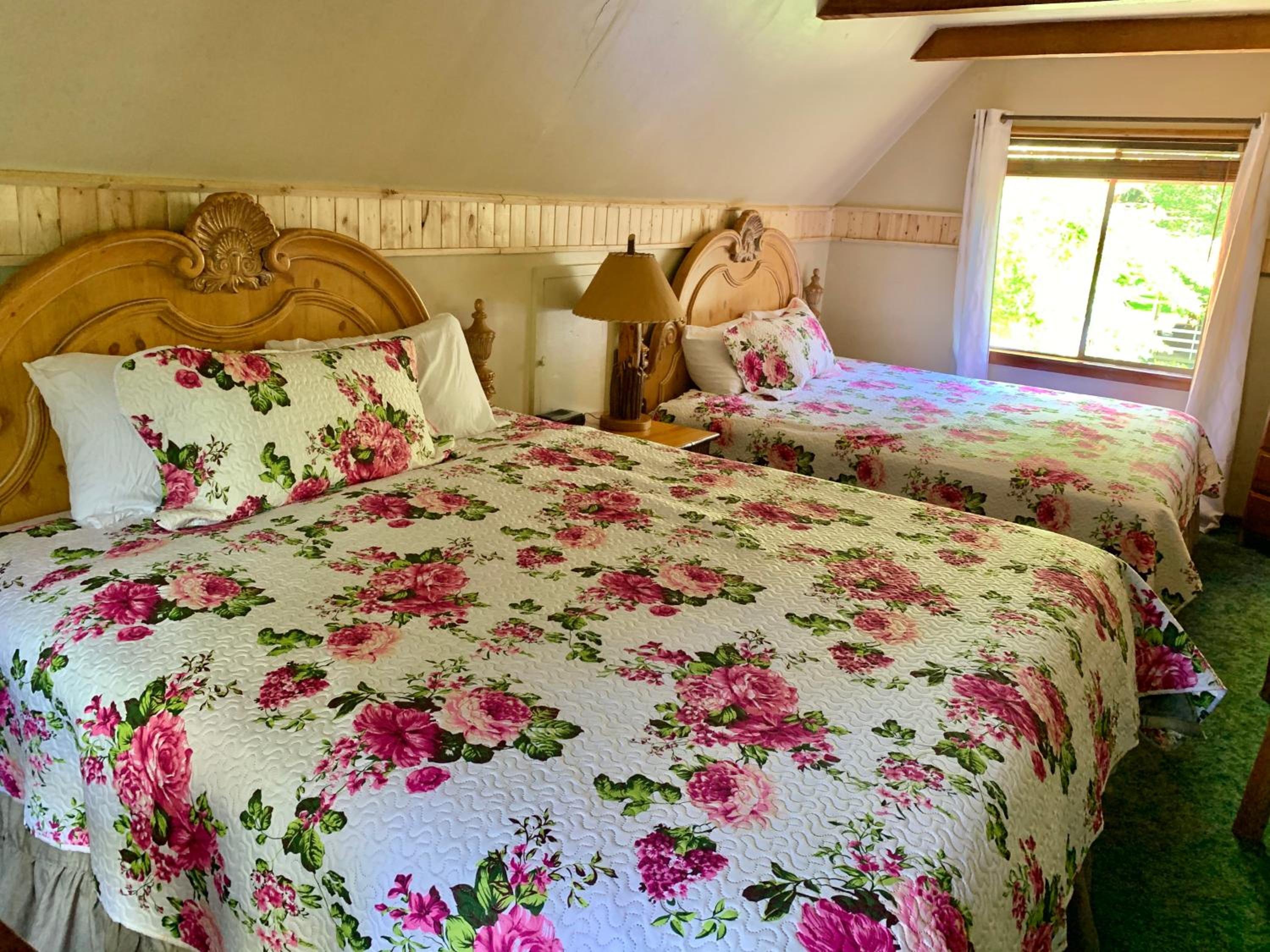 Grey Squirrel Resort