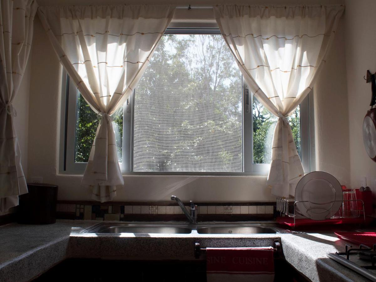 Lunah Xcacel Suites
