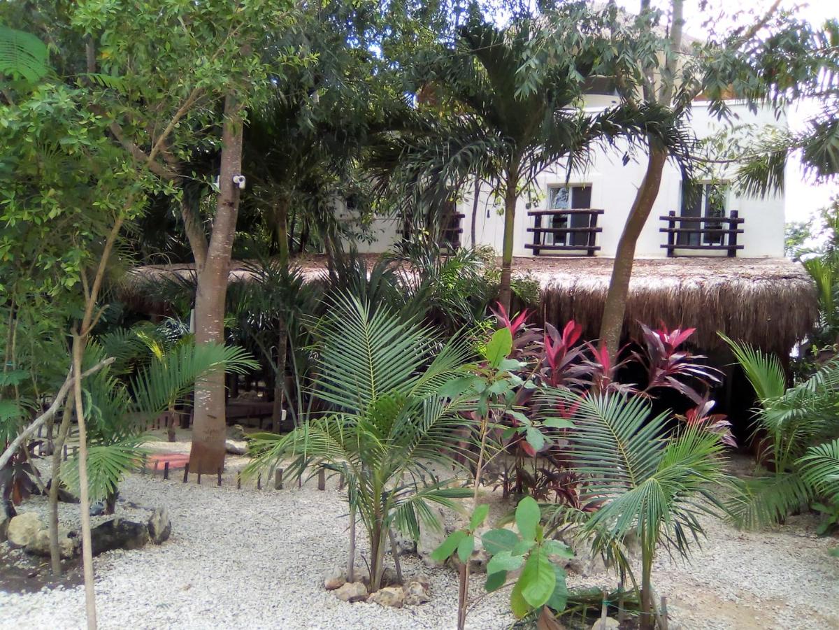 Lunah Xcacel Suites