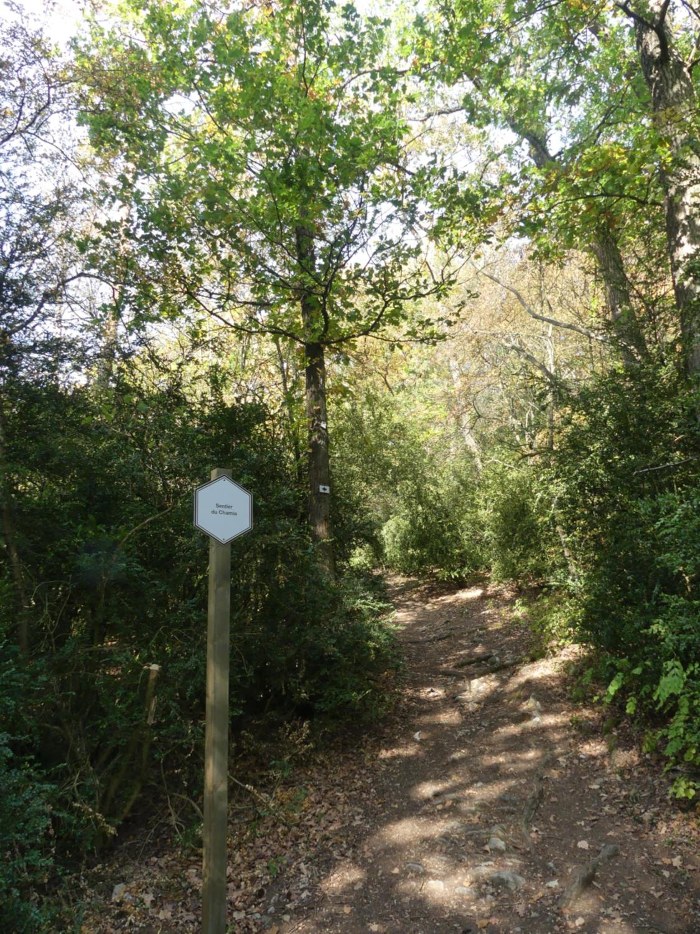 Photo 15