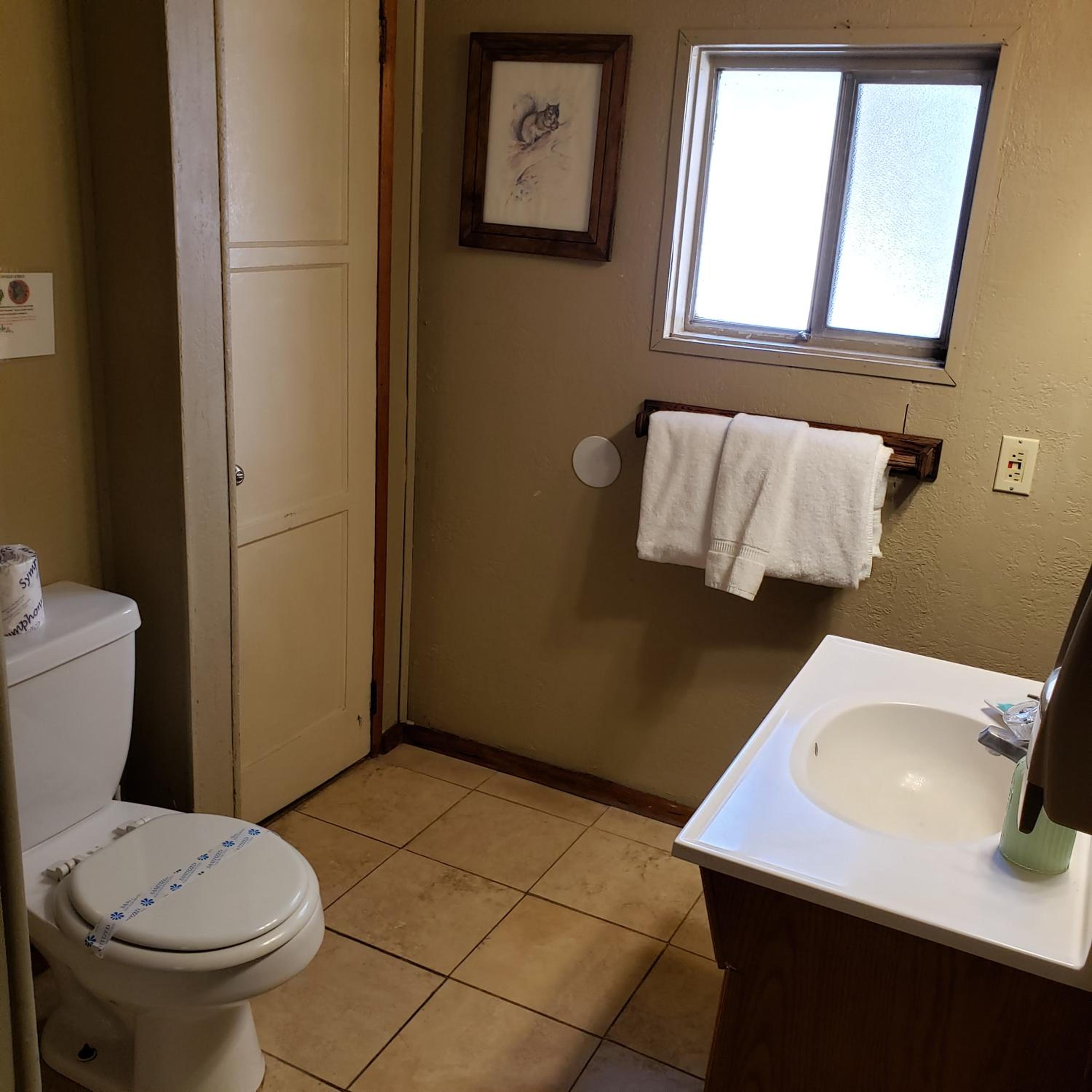 Grey Squirrel Resort
