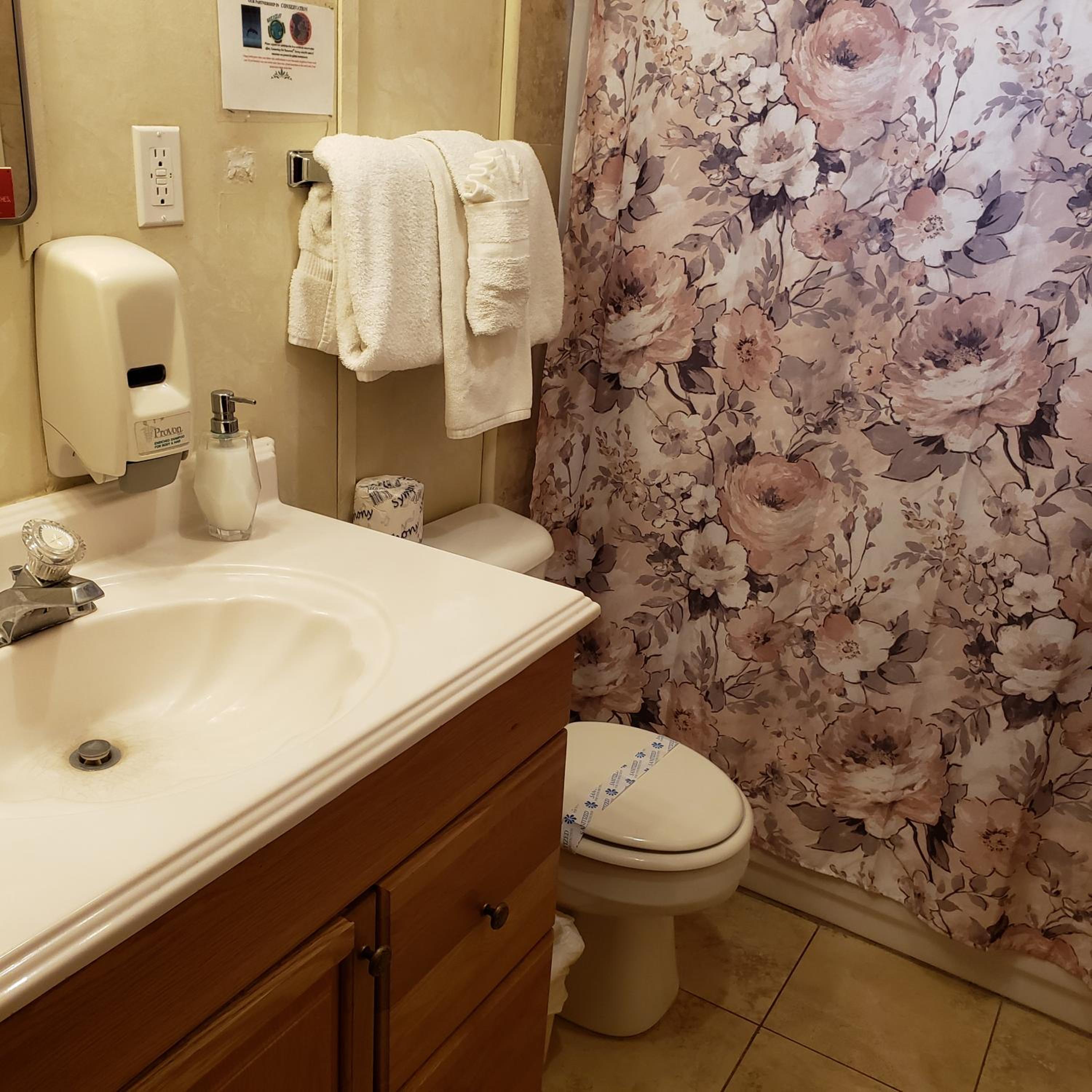 Grey Squirrel Resort