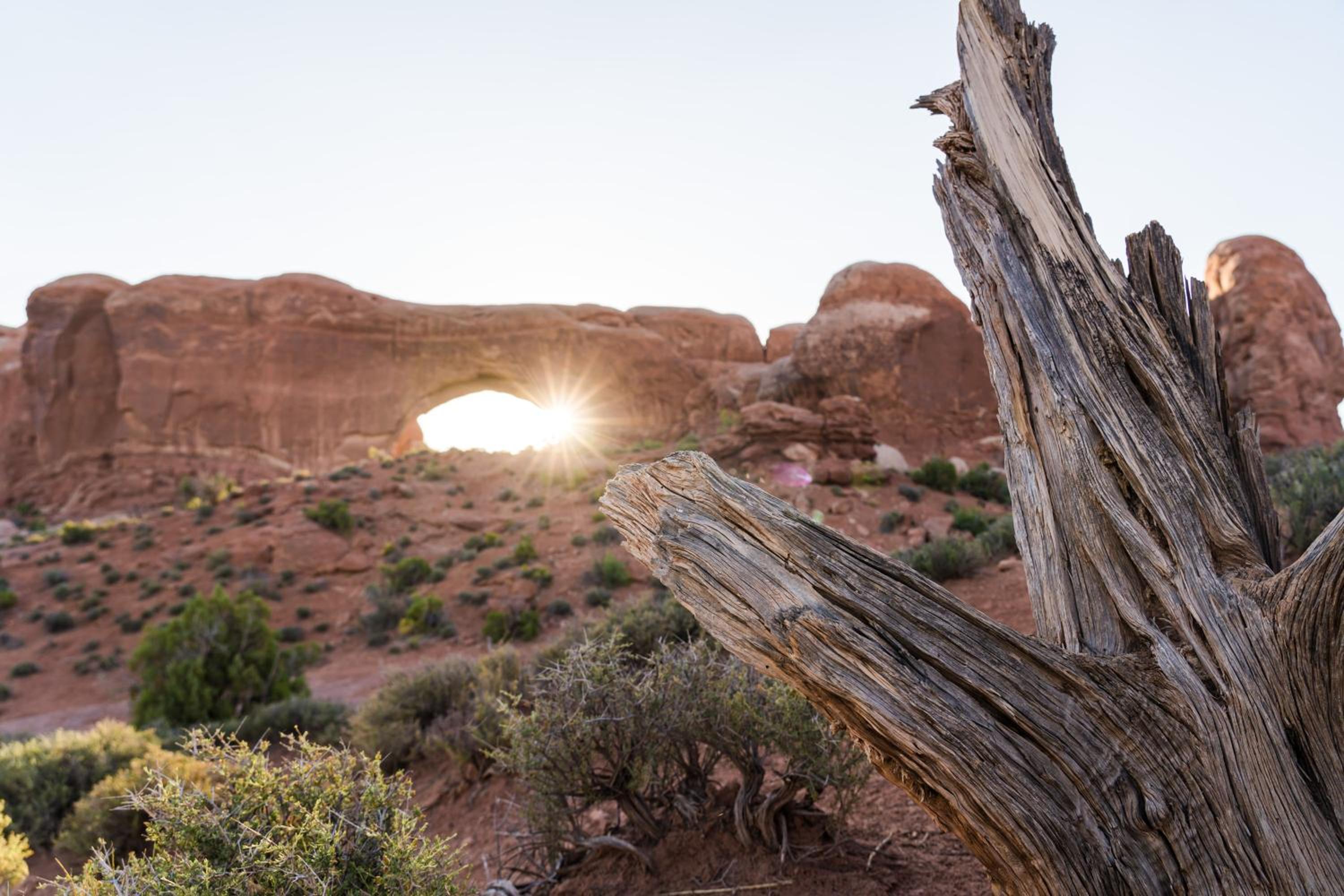 Under Canvas Moab