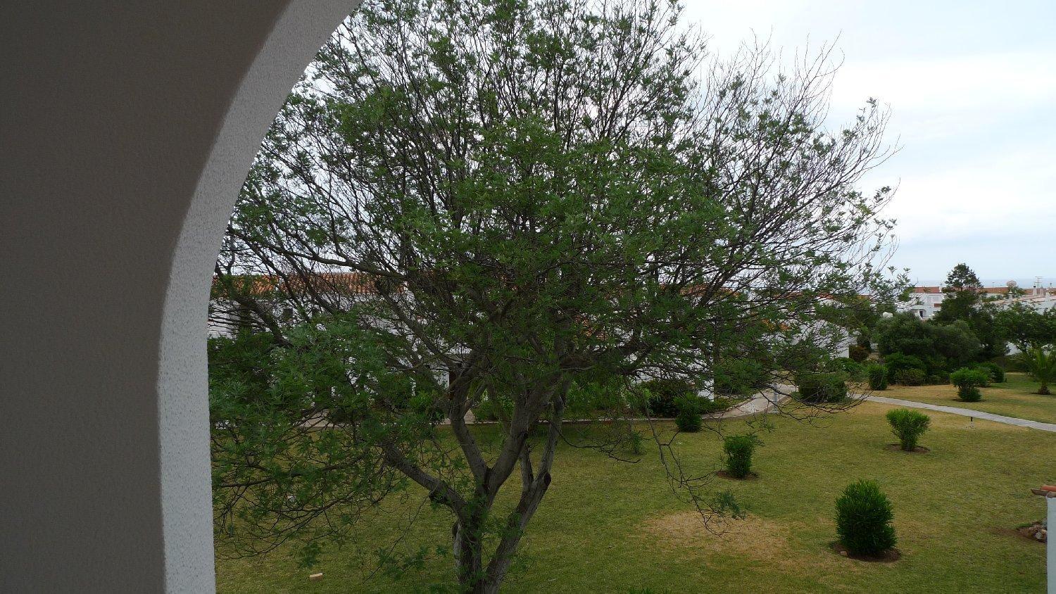 Apartamento na Vila Senhora da Rocha view 4