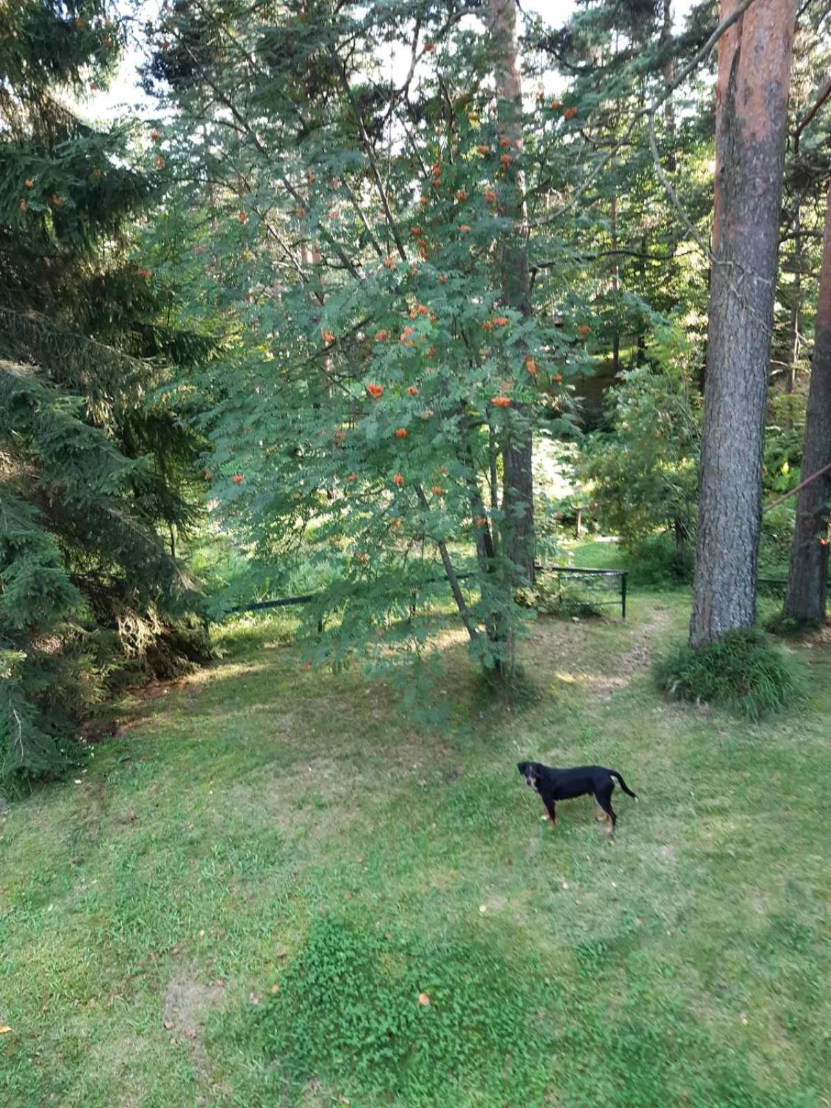 Photo 17