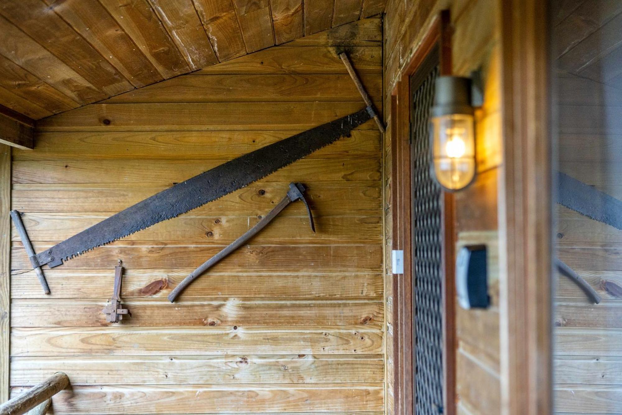 Mole Creek Cabins