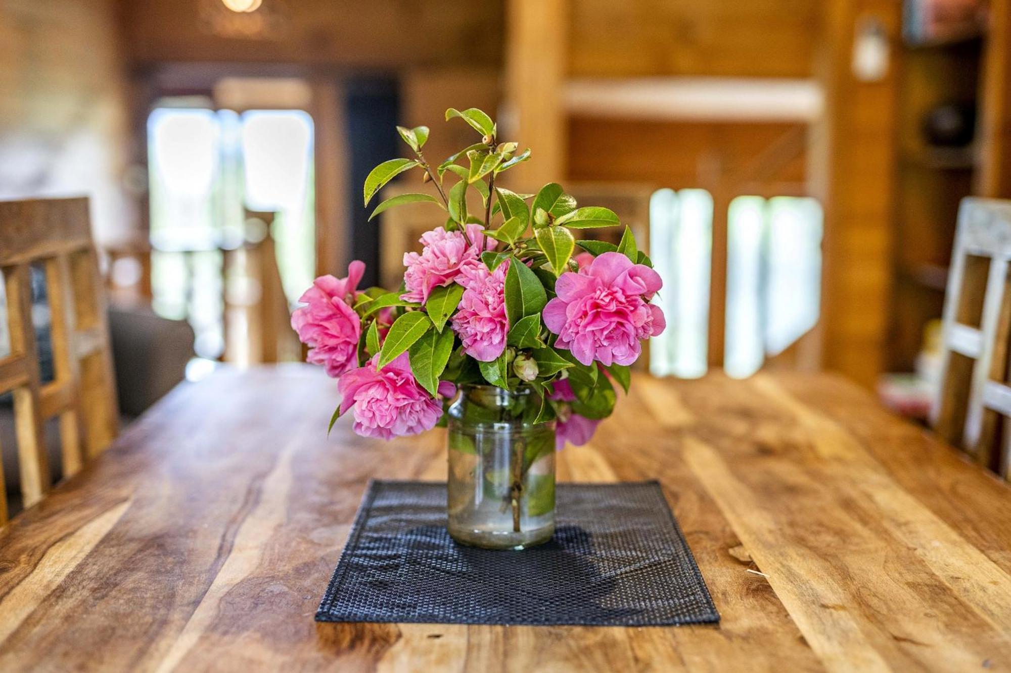 Mole Creek Cabins