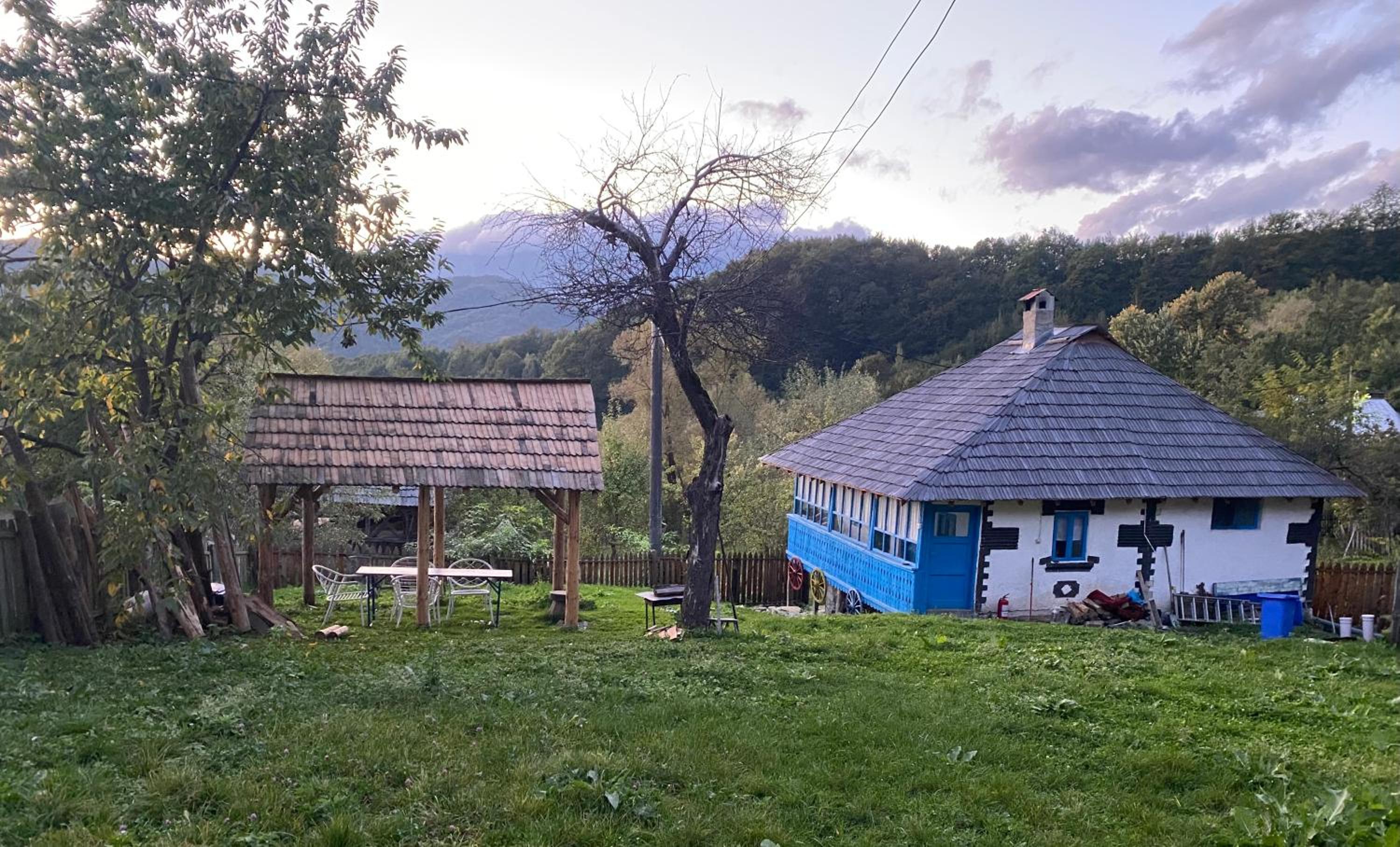 Casa Albastră view 4