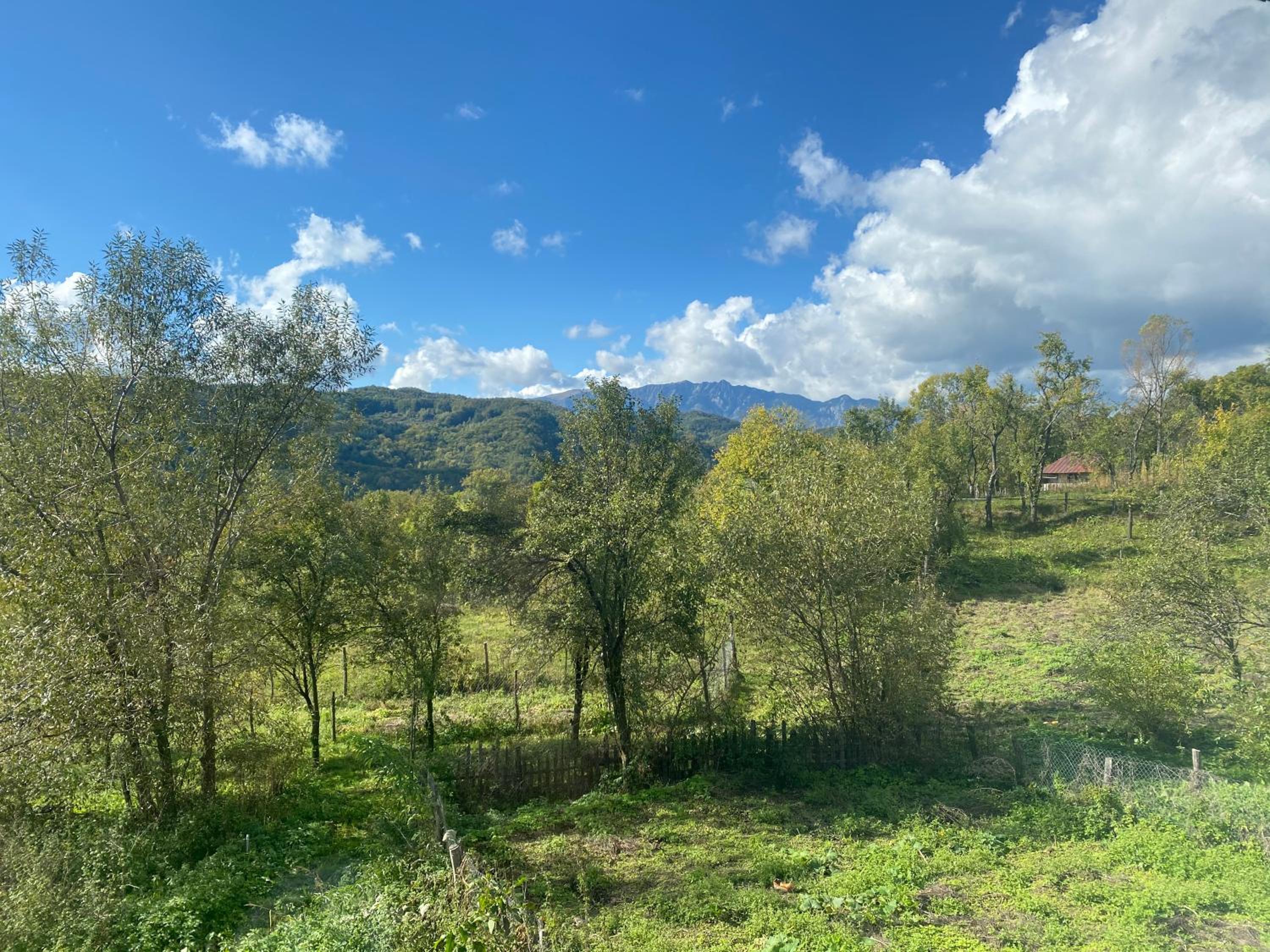 Casa Verde view 5
