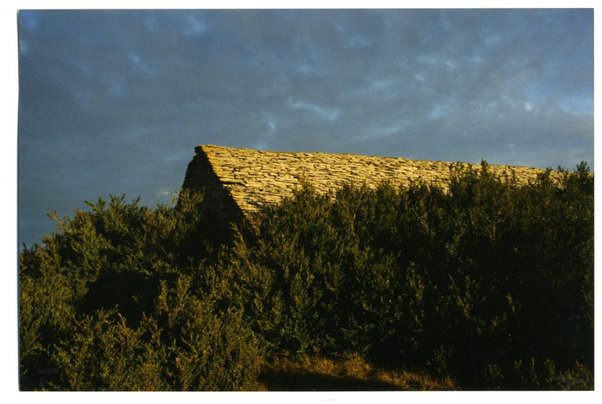 Photo 24
