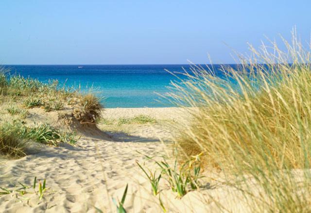 Villa S Venardia Gallipoli photo 4