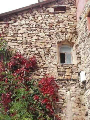 Photo 37