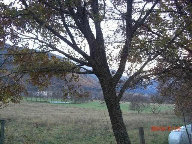 Photo 39