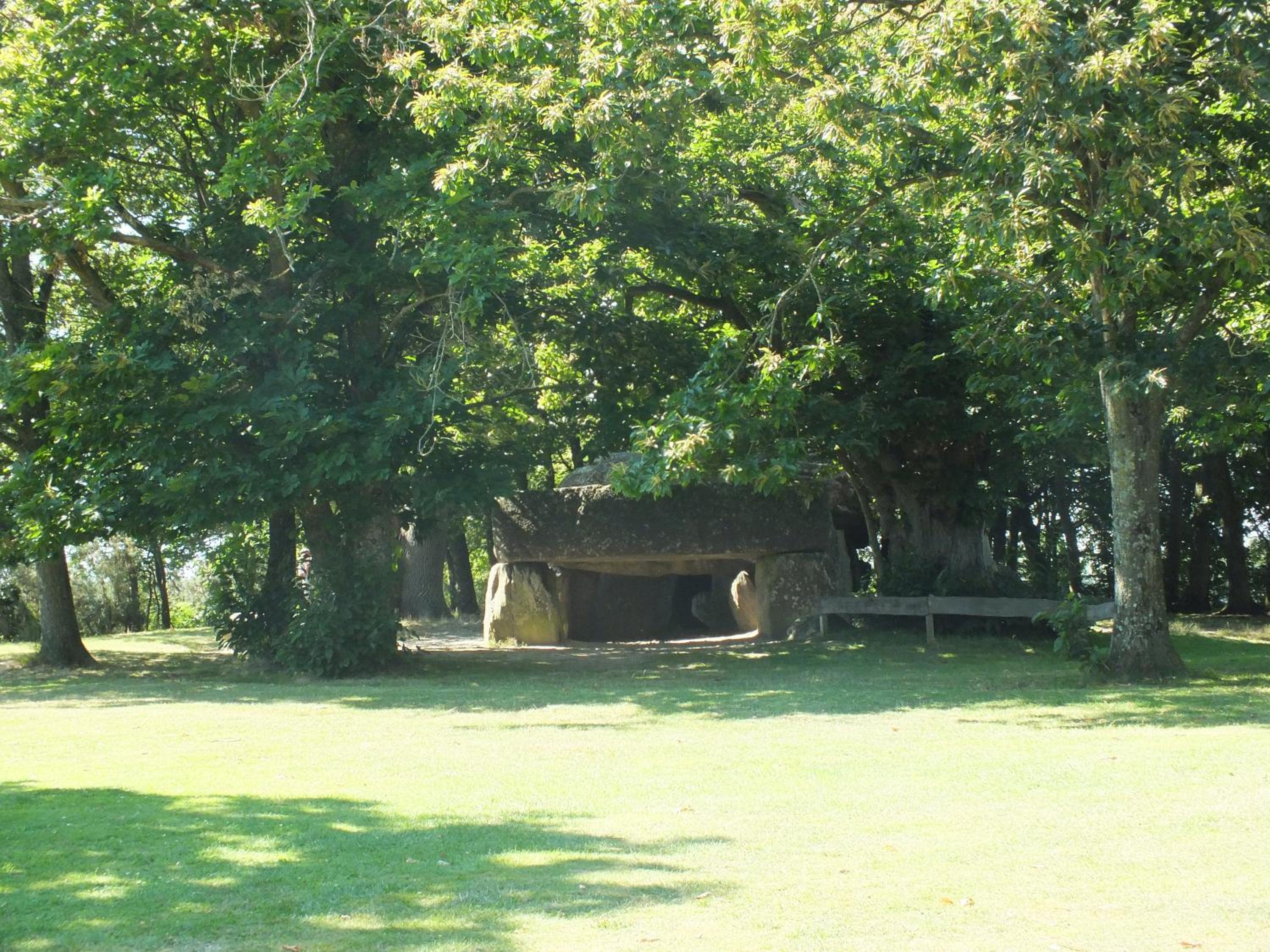 Photo 18