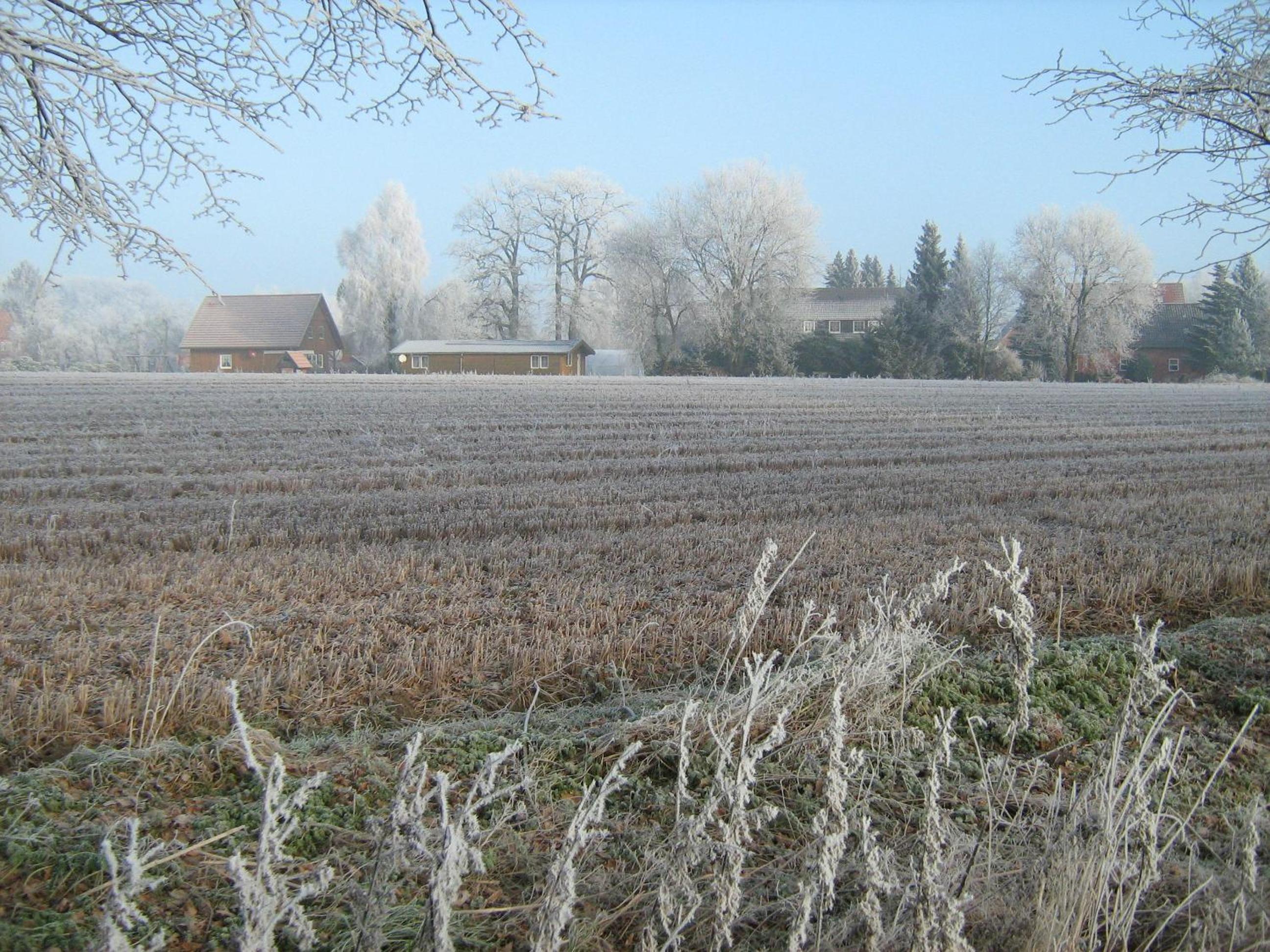 Photo 32