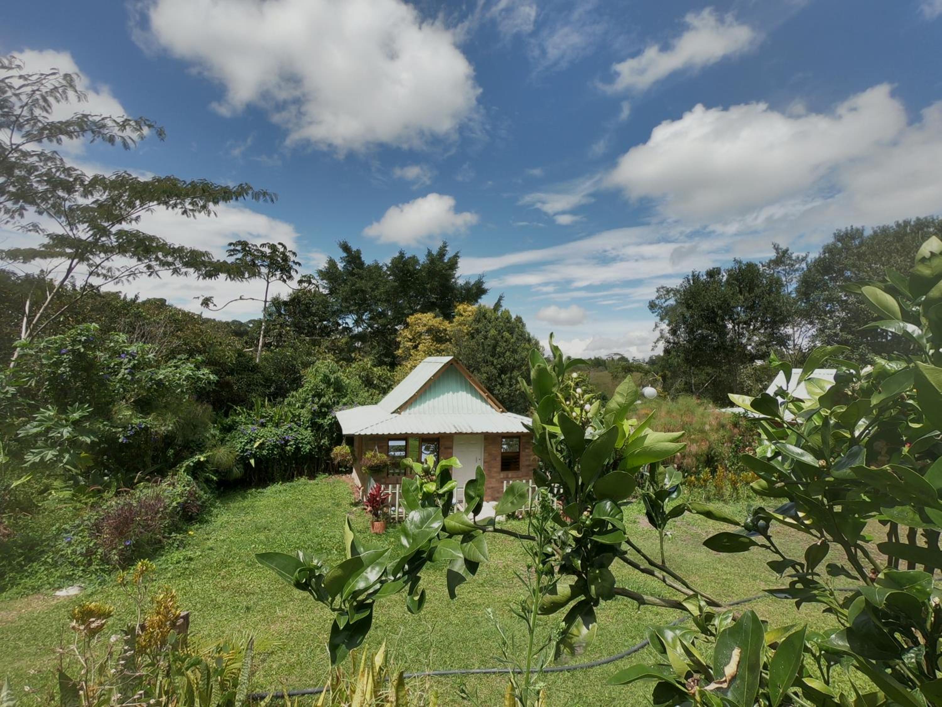 Tribu EcoHostal