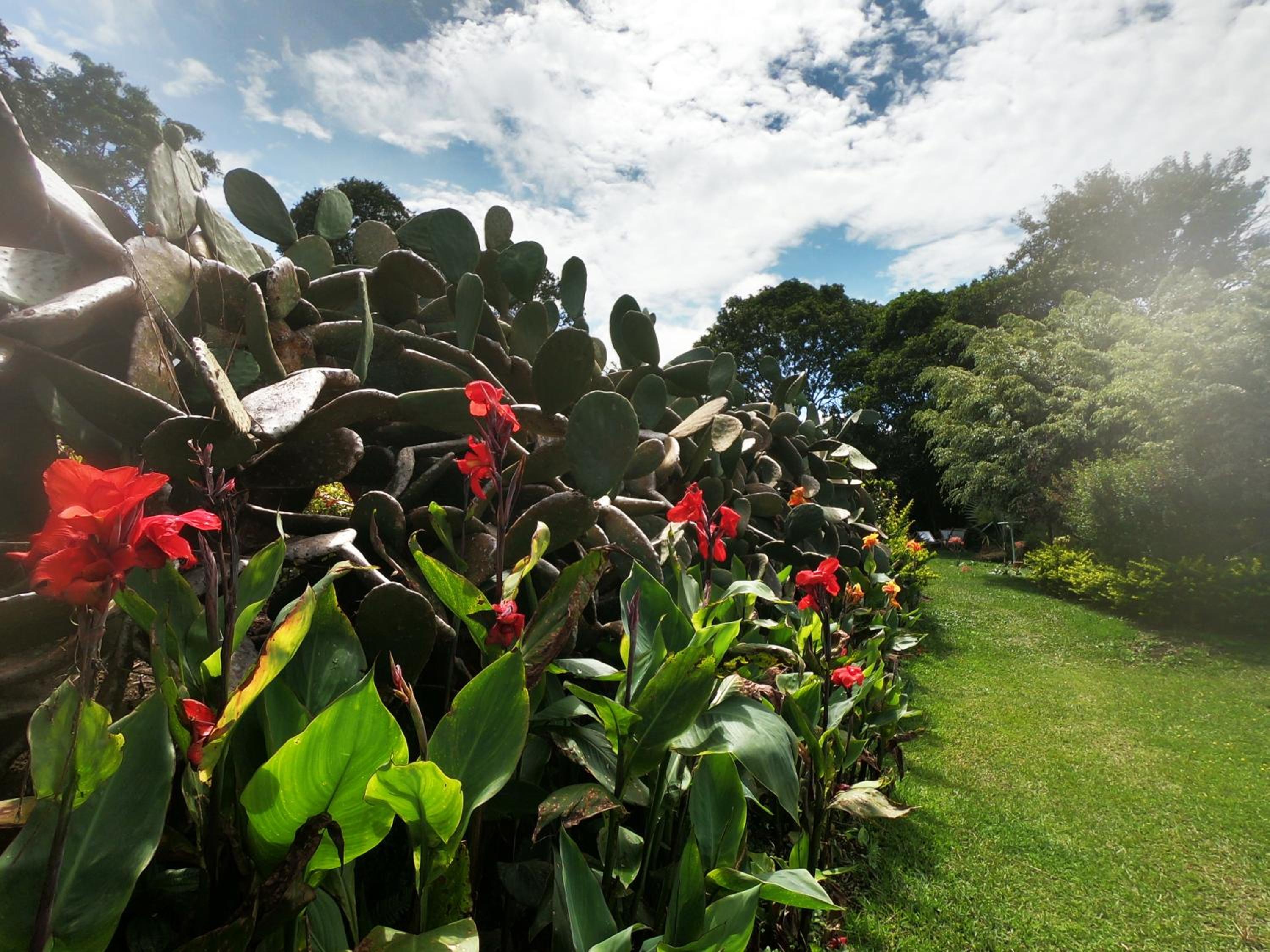 Tribu EcoHostal