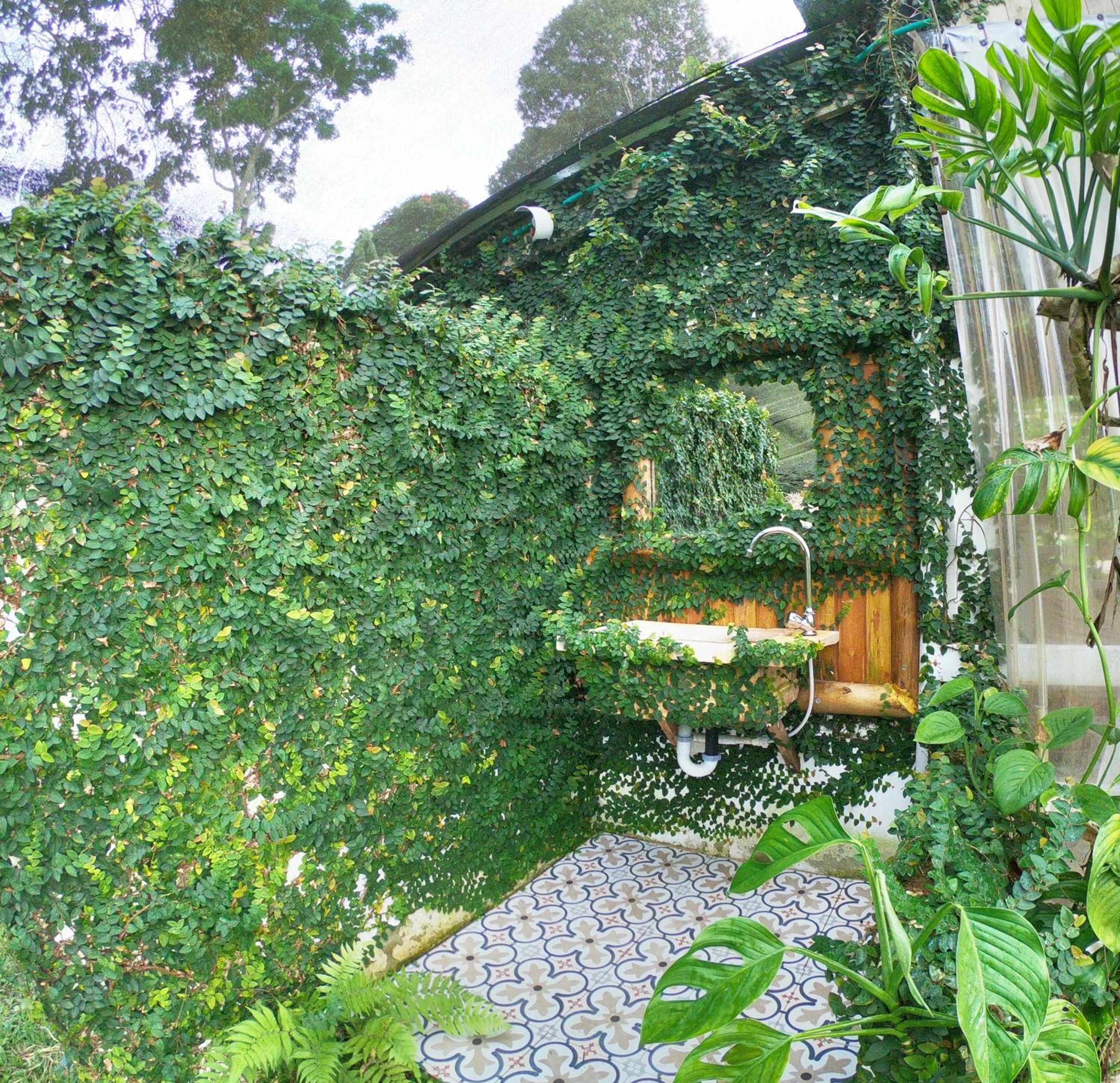 Tribu EcoHostal