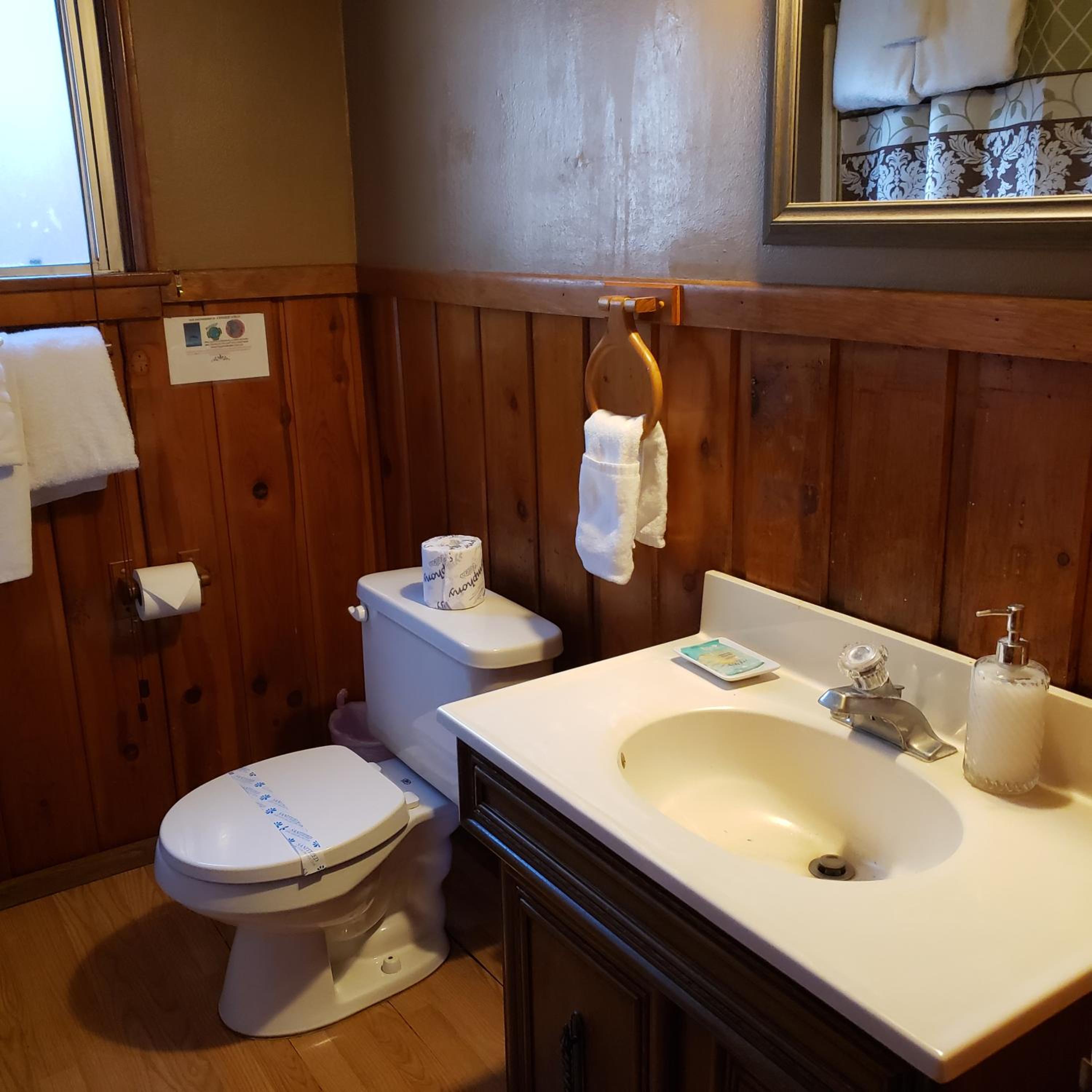 Grey Squirrel Resort