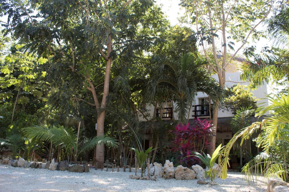 Lunah Xcacel Suites