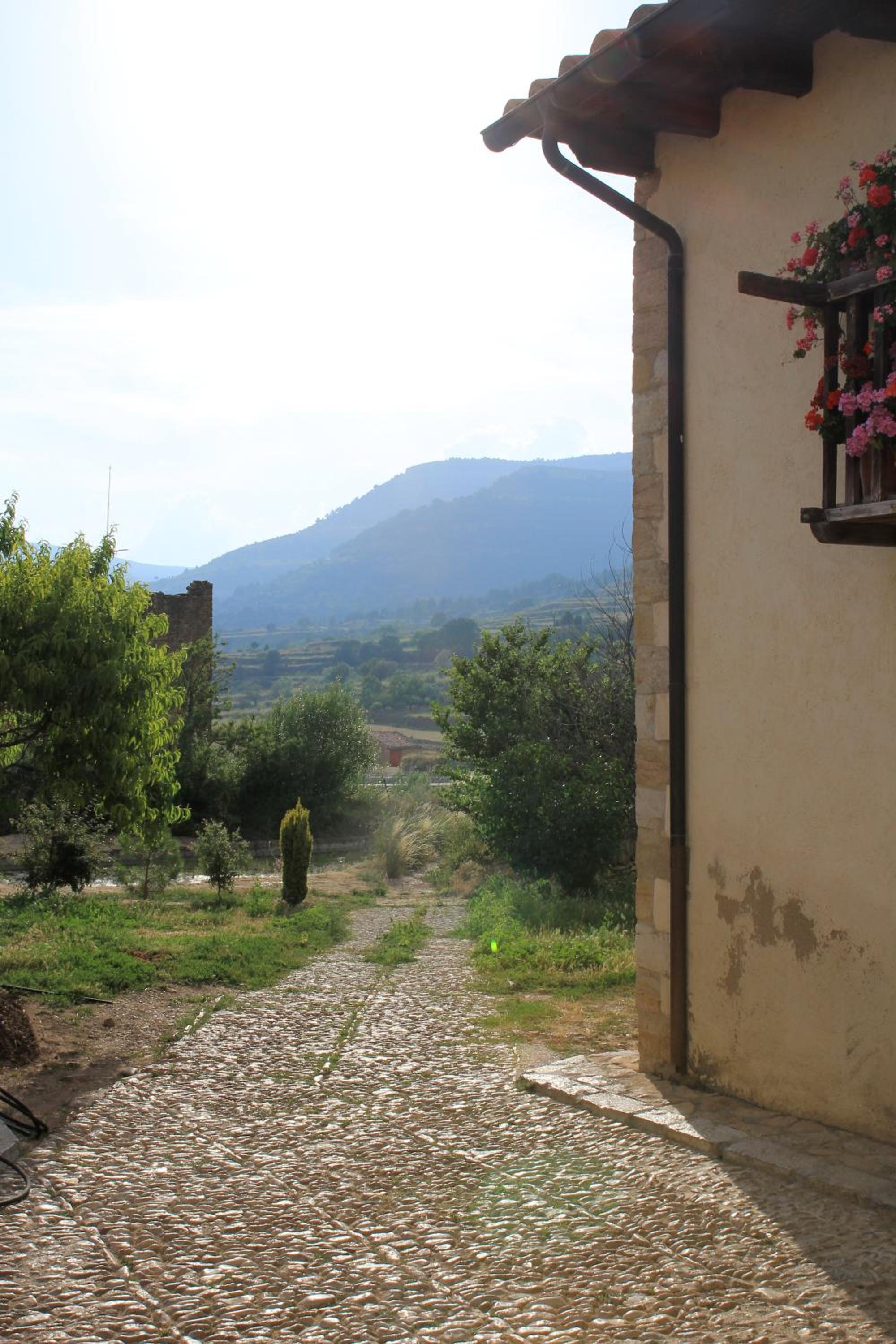 Photo 47