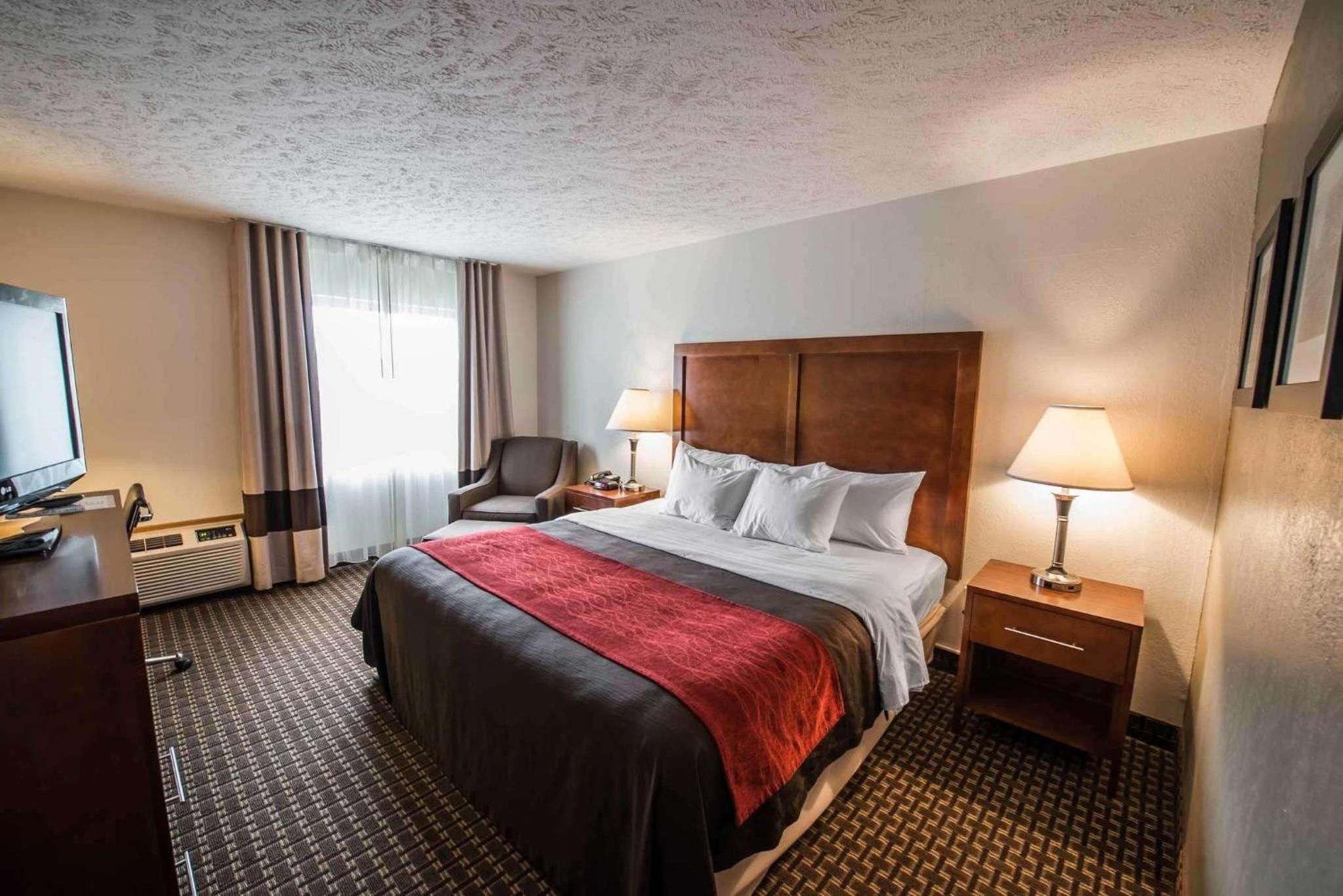Comfort Inn Atkins-Marion I-81 - Property Image 3