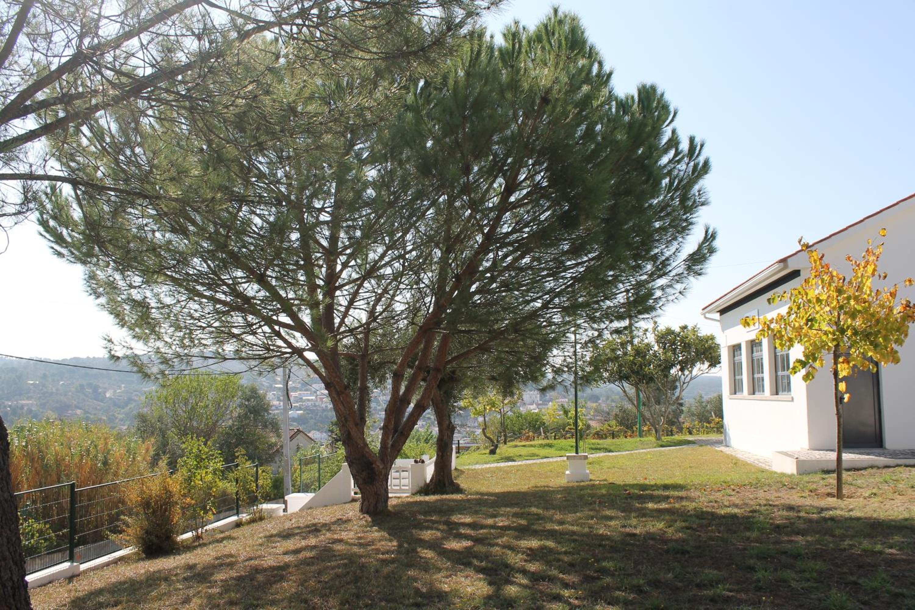 Photo 46