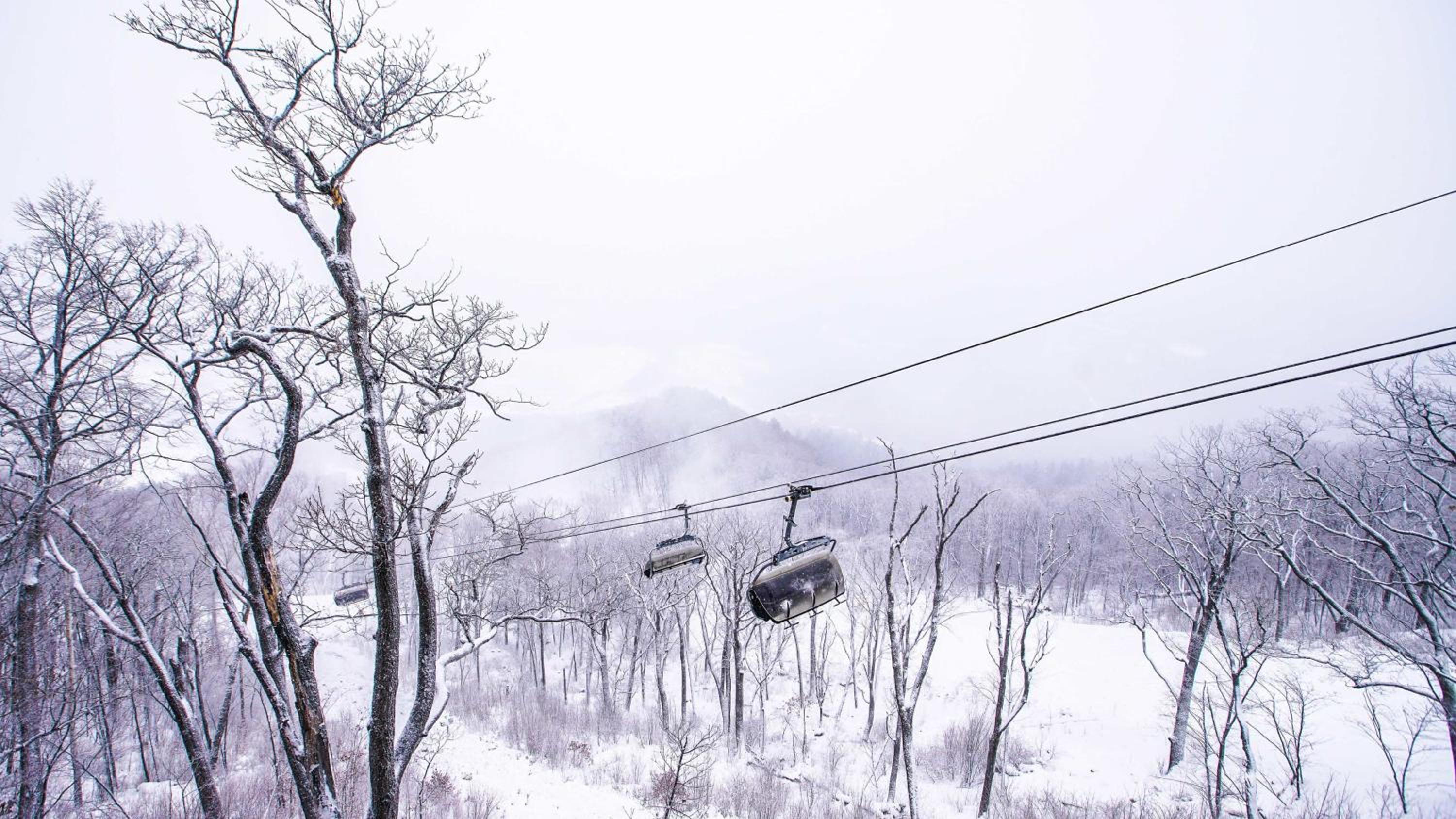 Wanda Jin Suites Changbaishan