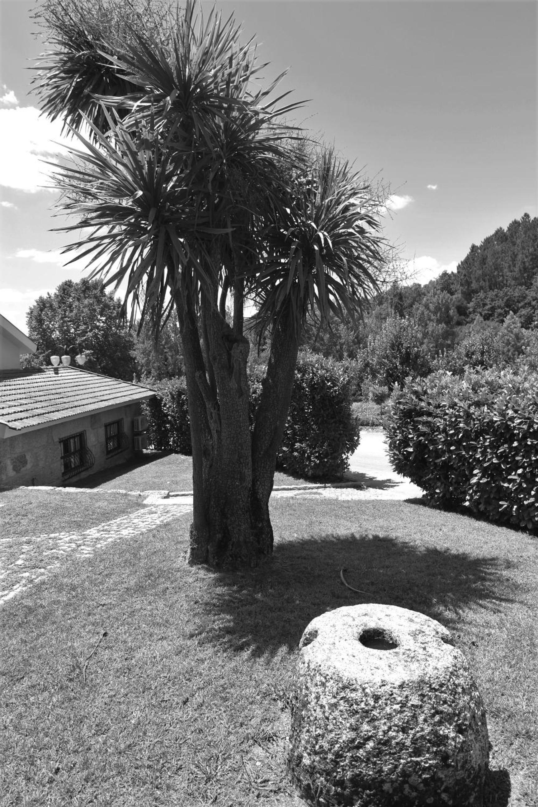 Aldeia do Tâmega