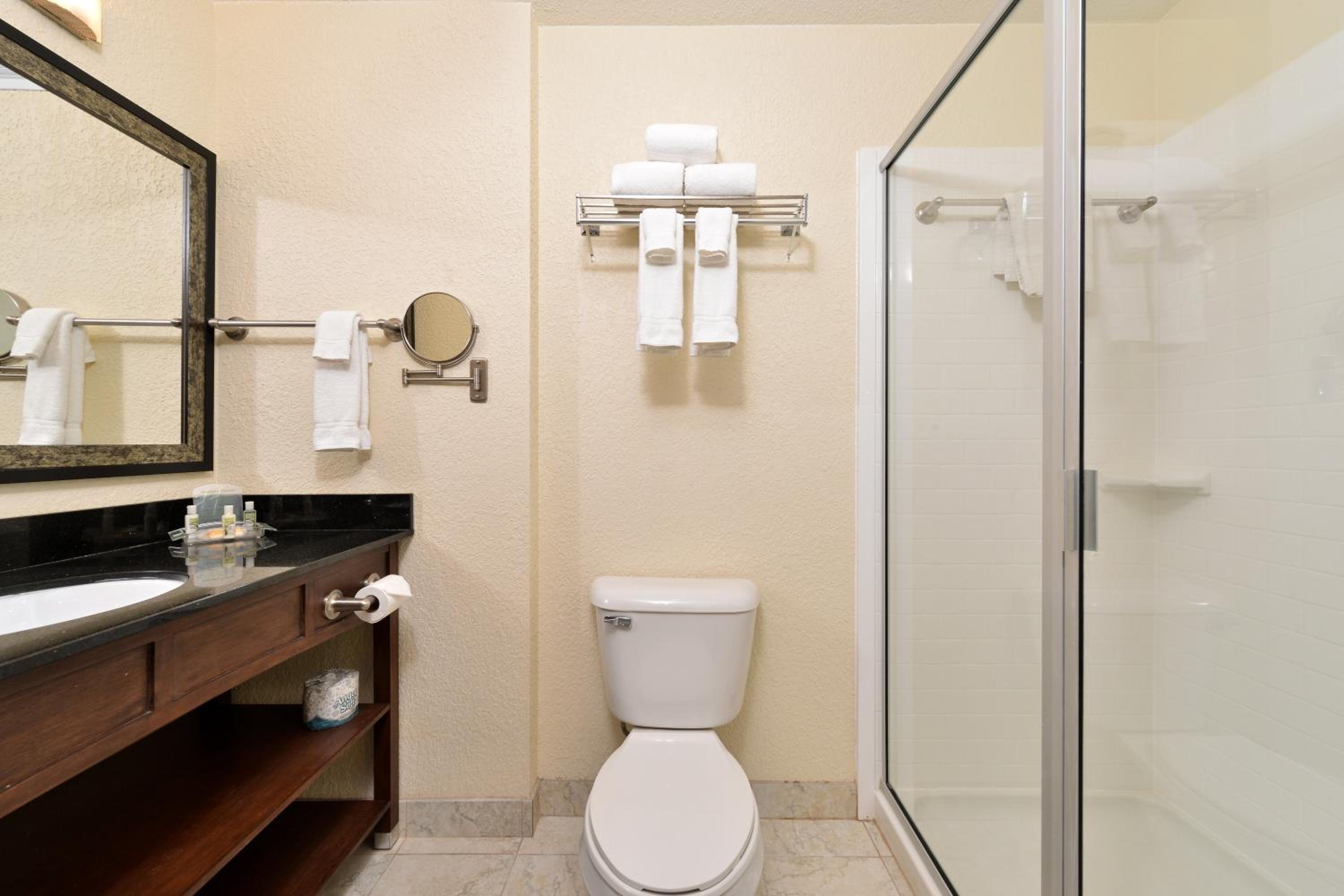 Holiday Inn Montgomery South Airport, an IHG Hotel - Property Image 71
