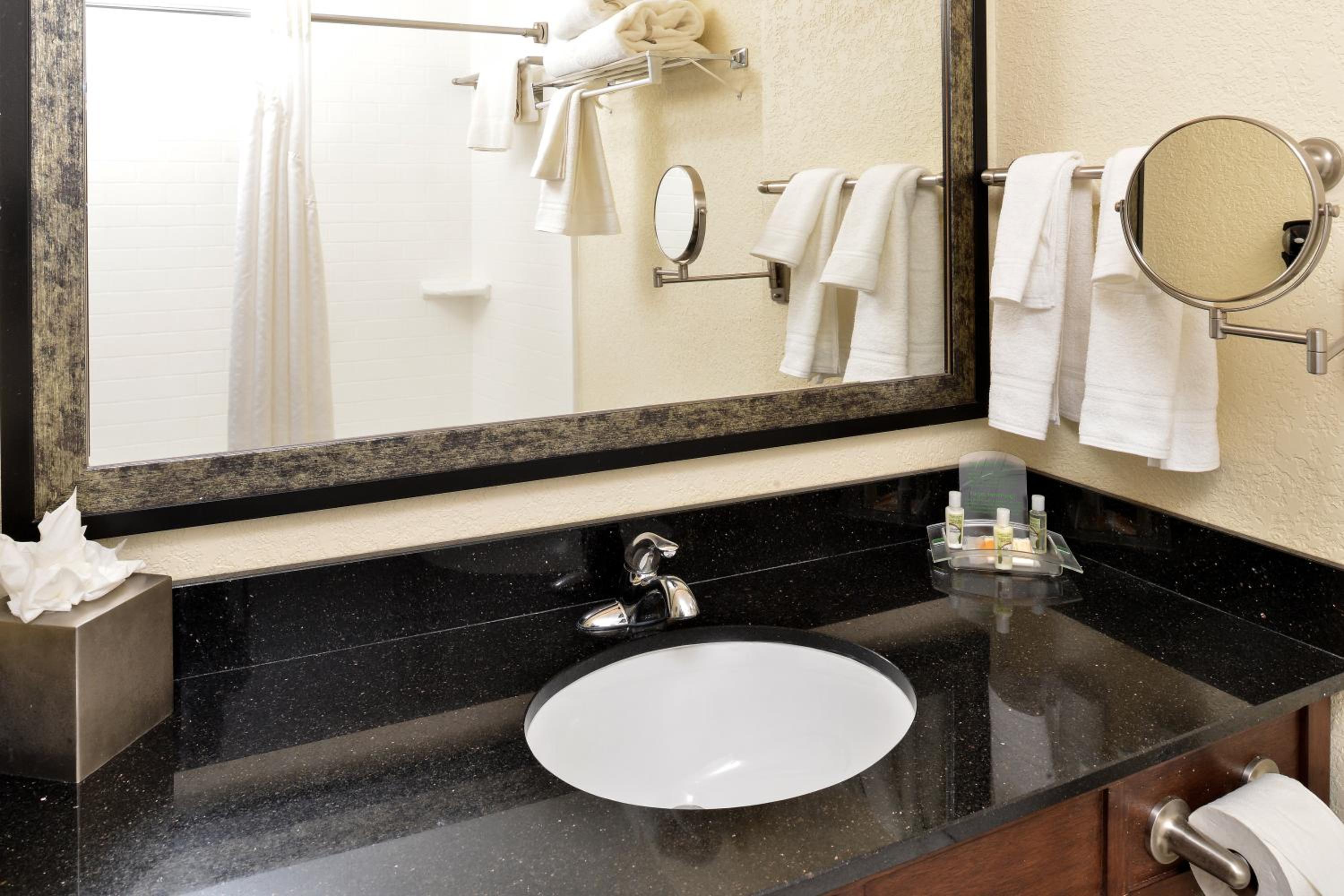 Holiday Inn Montgomery South Airport, an IHG Hotel - Property Image 67