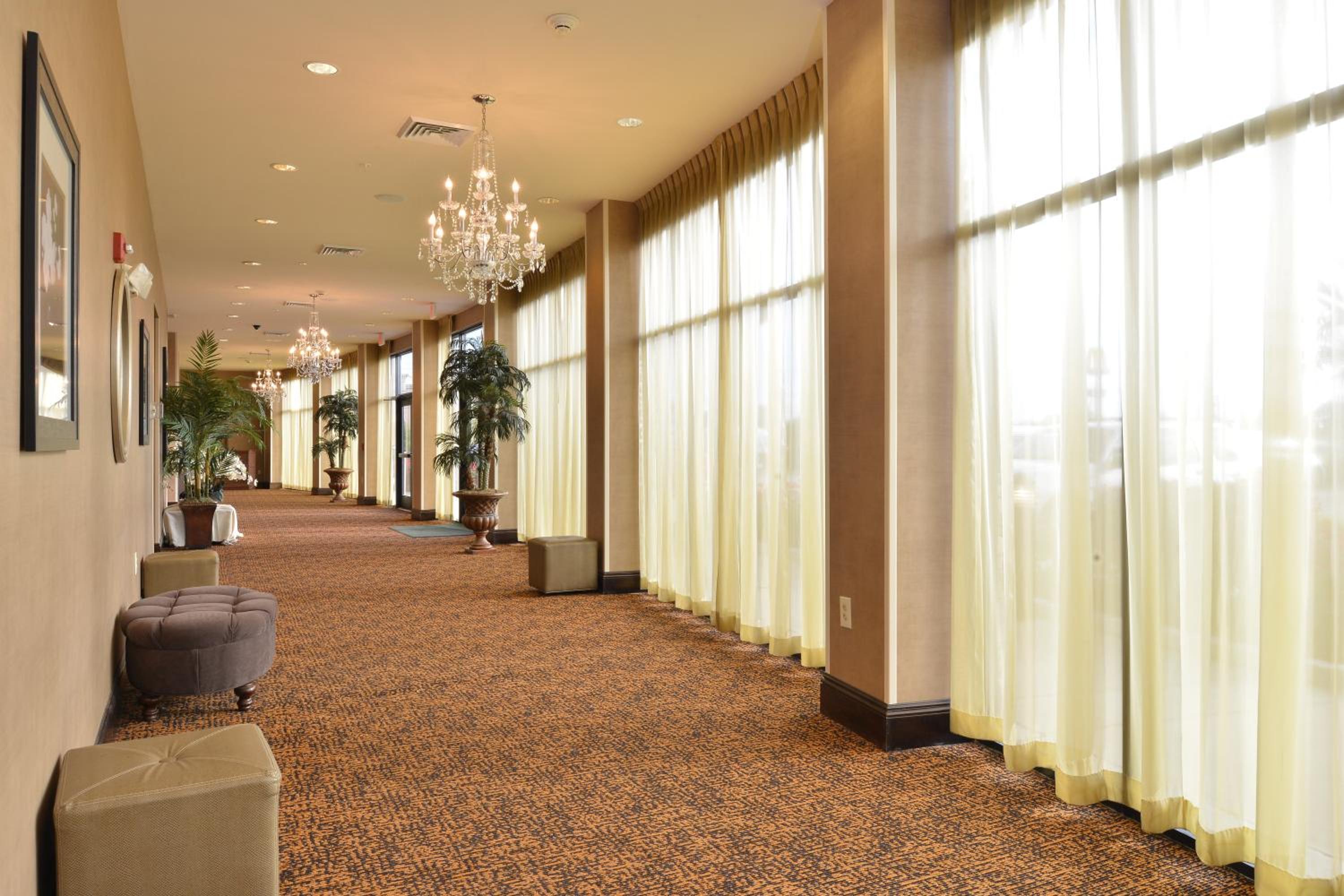 Holiday Inn Montgomery South Airport, an IHG Hotel - Property Image 19