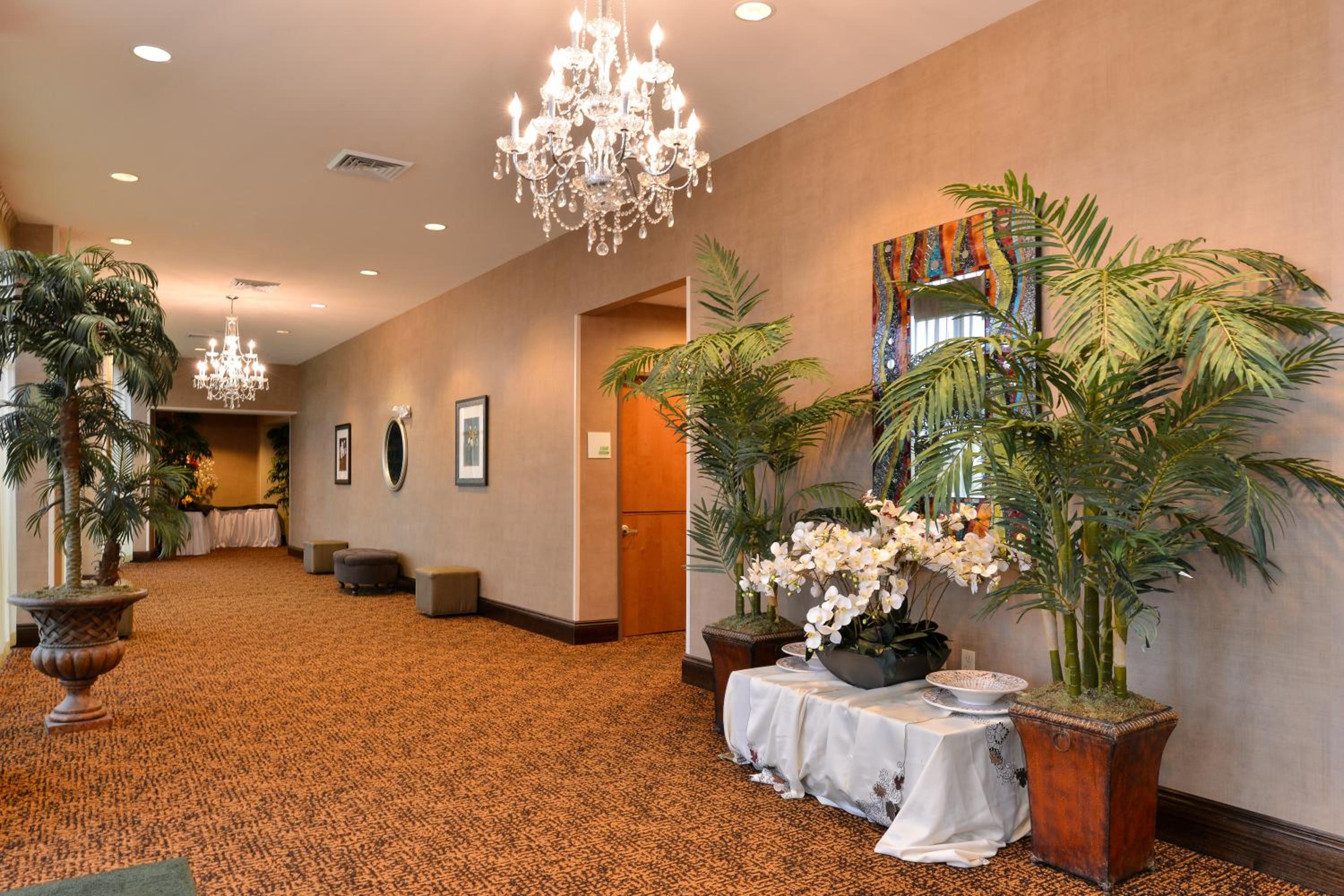 Holiday Inn Montgomery South Airport, an IHG Hotel - Property Image 36