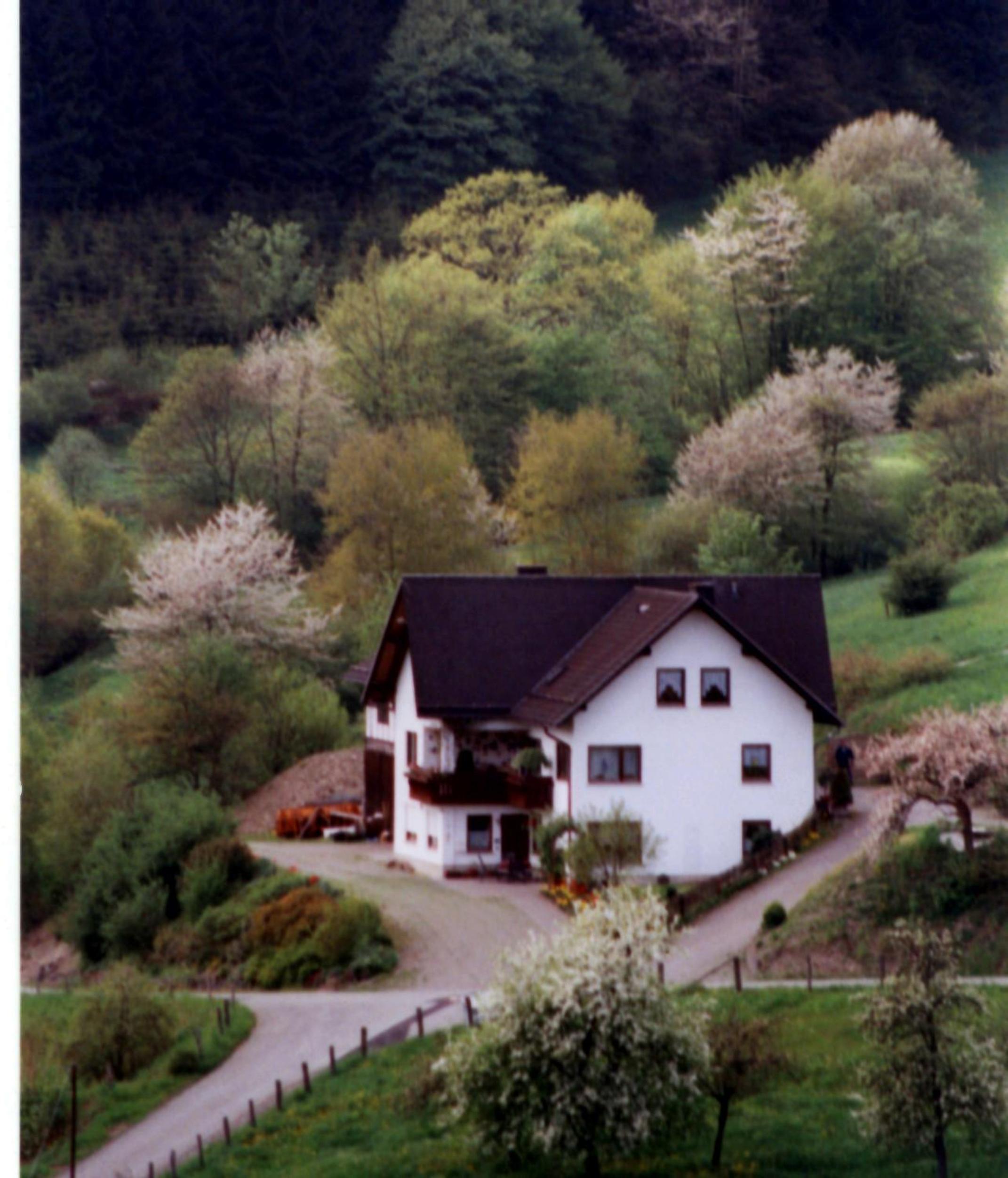 Photo 45