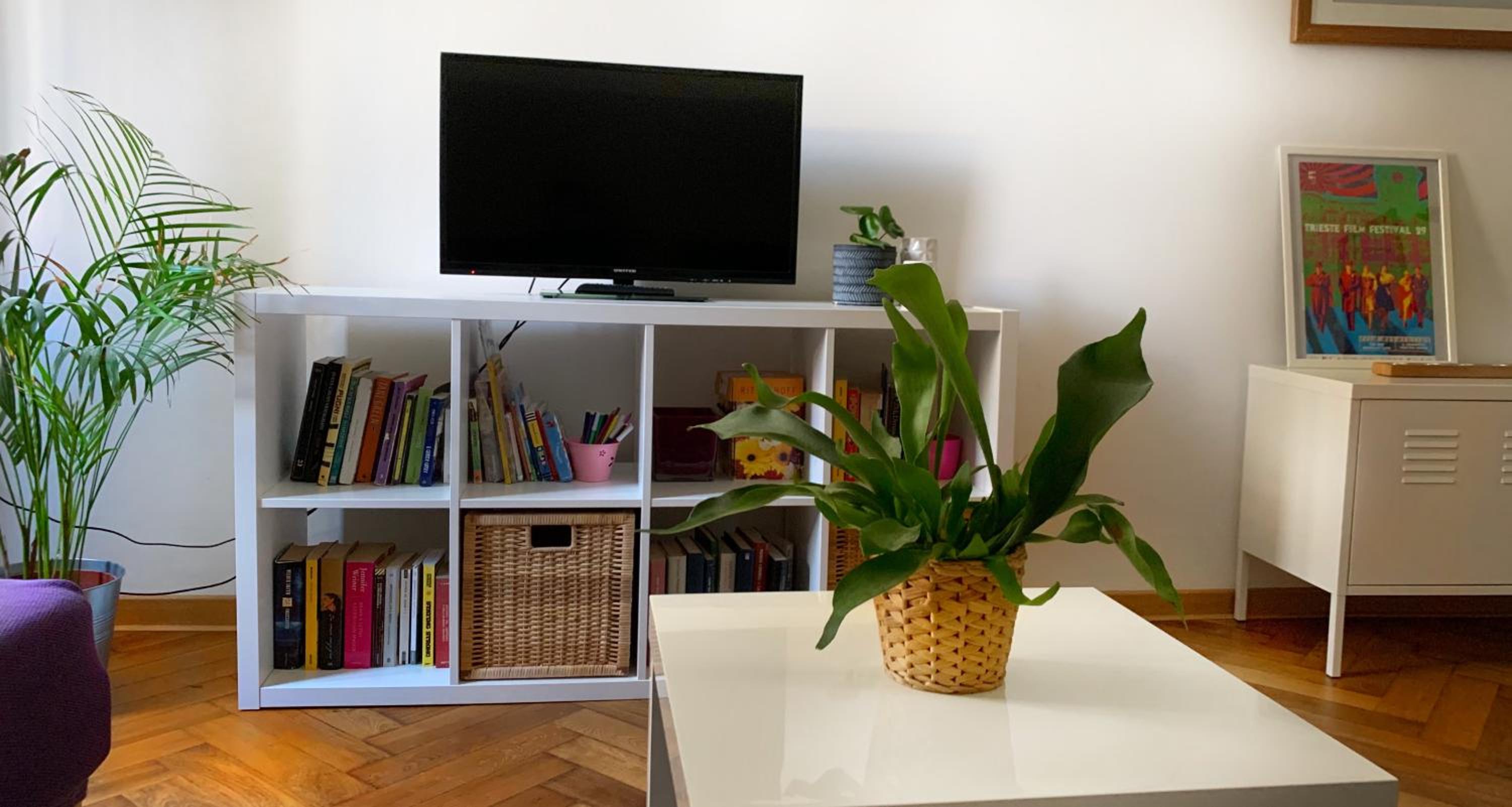 Casa Strehler photo 2