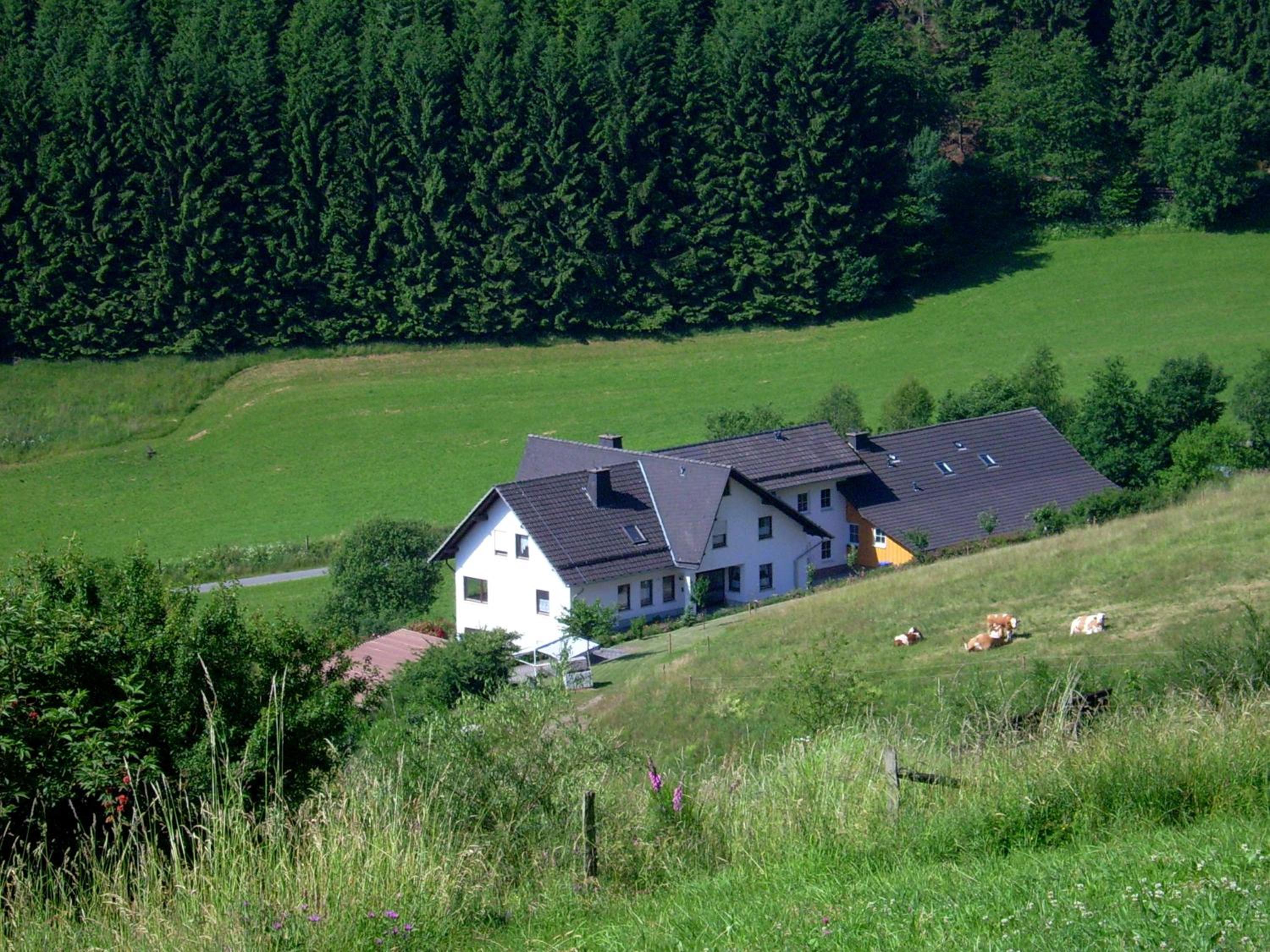 Photo 28