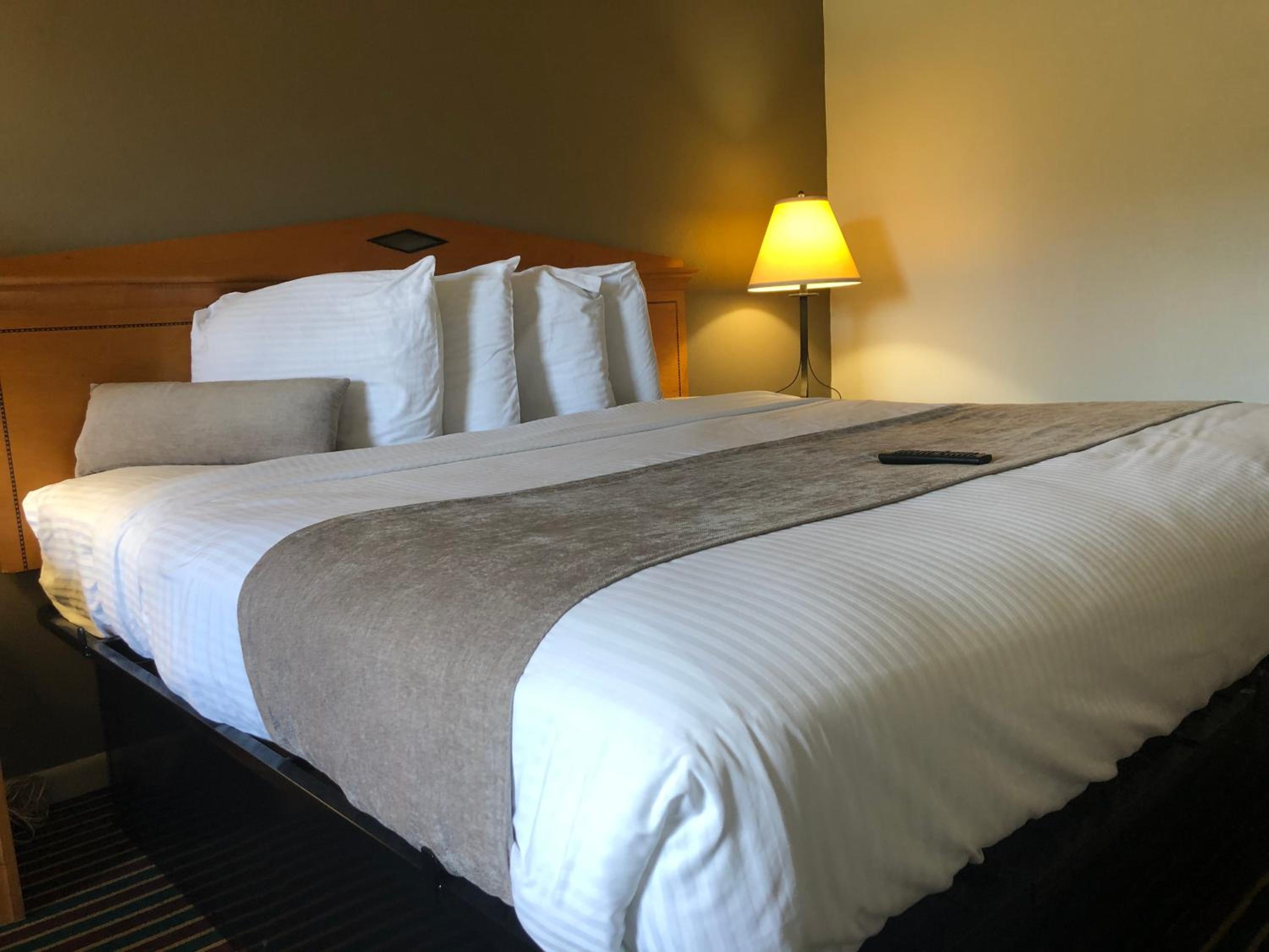 Budget Inn Timmonsville view 4
