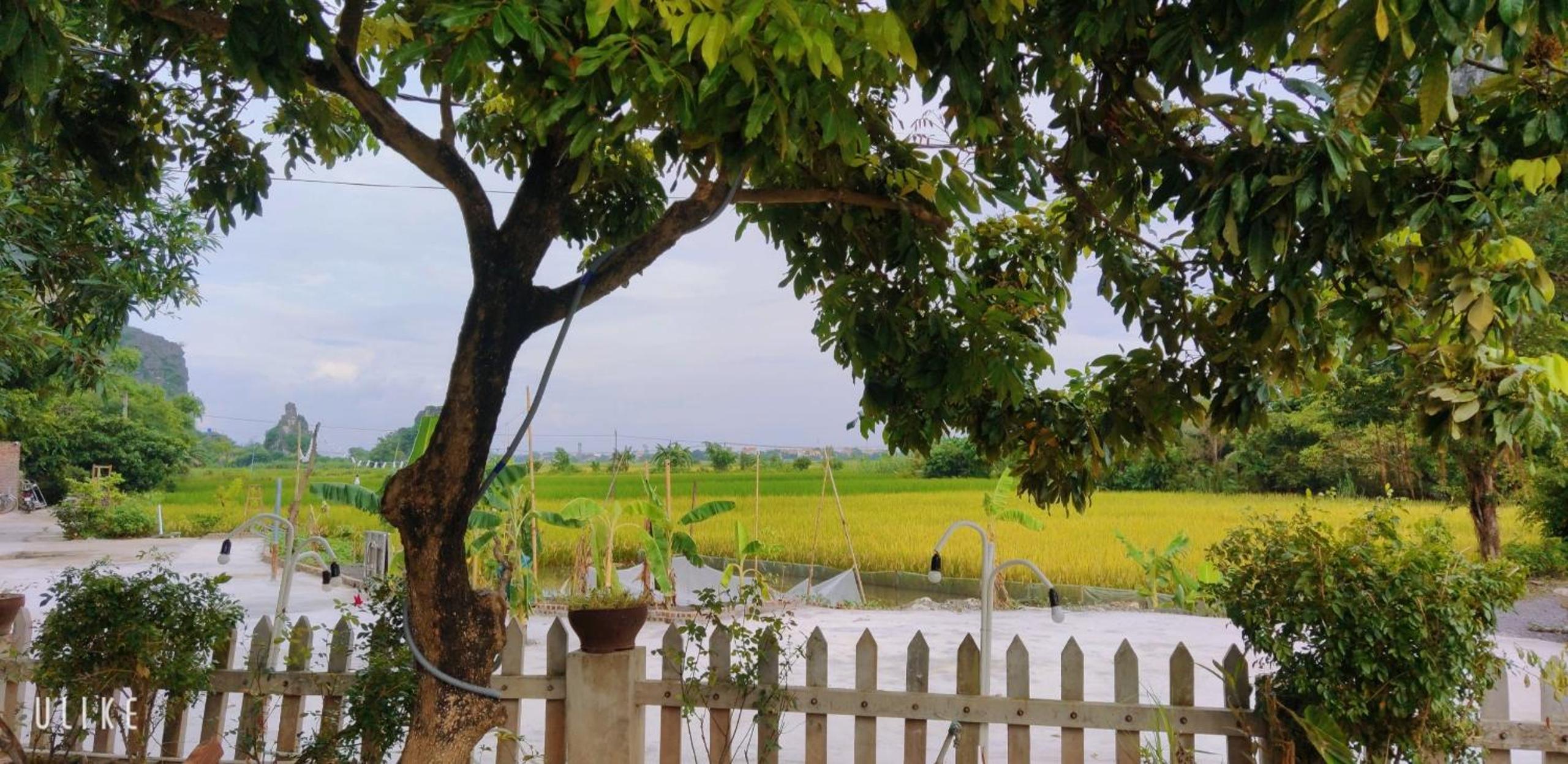 Tam Coc Eco Field Nest By ANMS GROUP