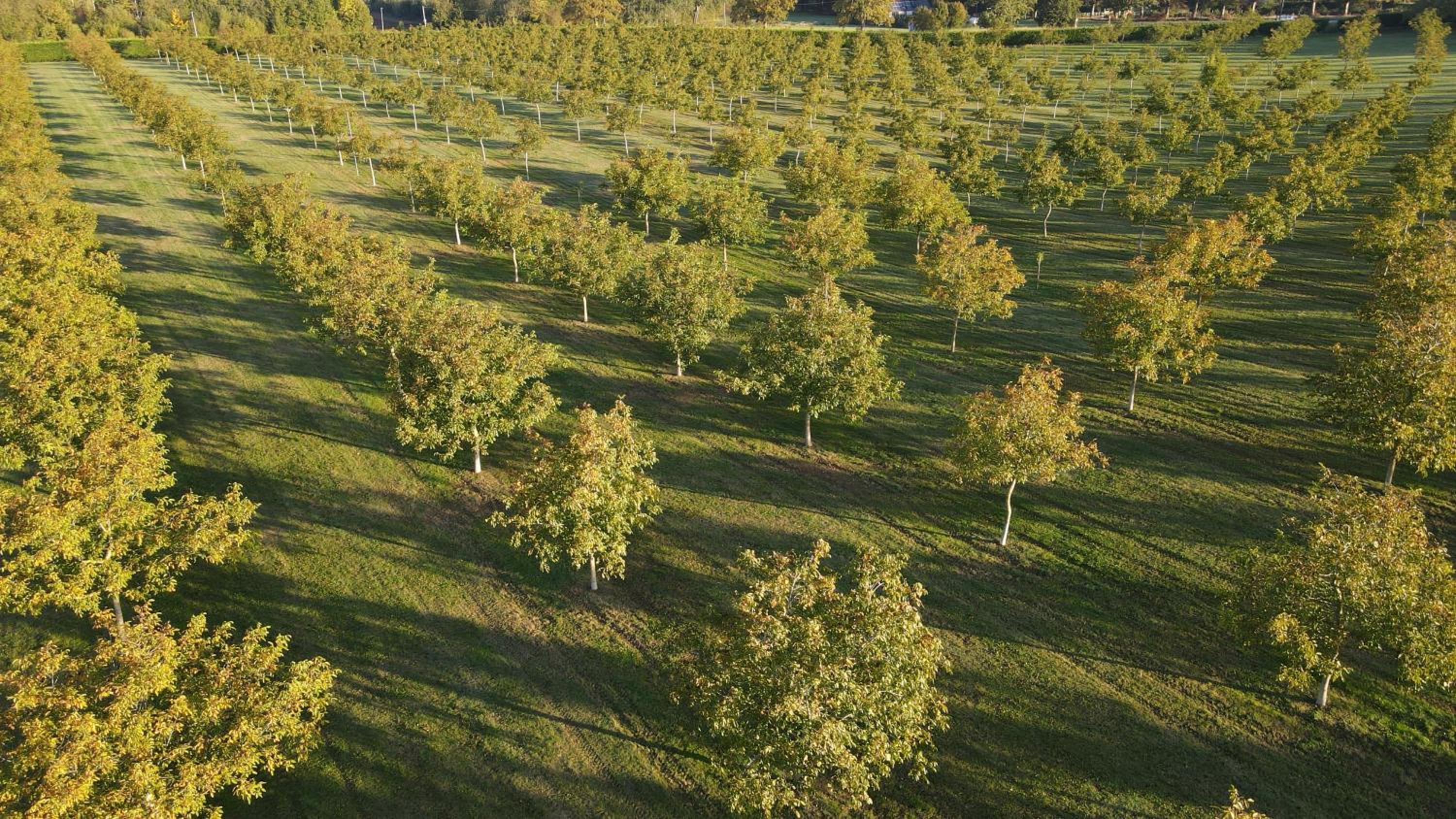 Domaine de La Noiseraie