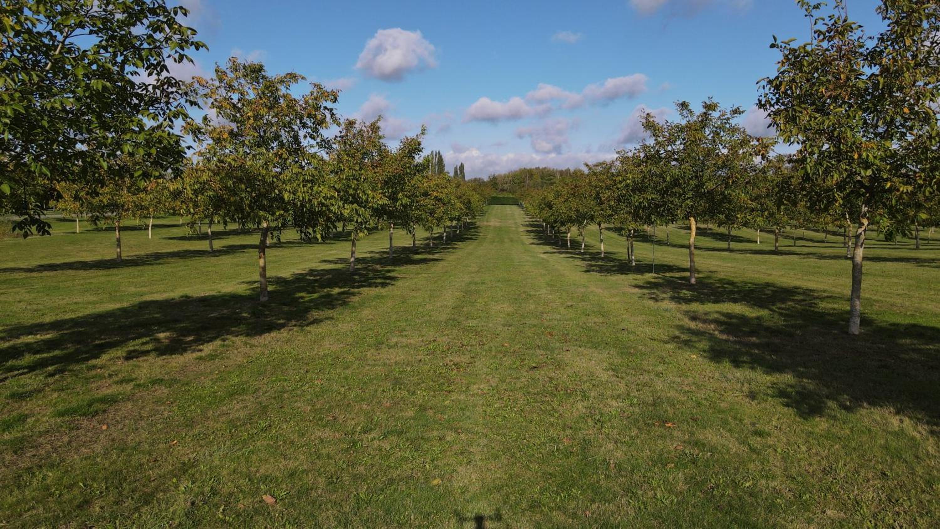 Domaine de La Noiseraie