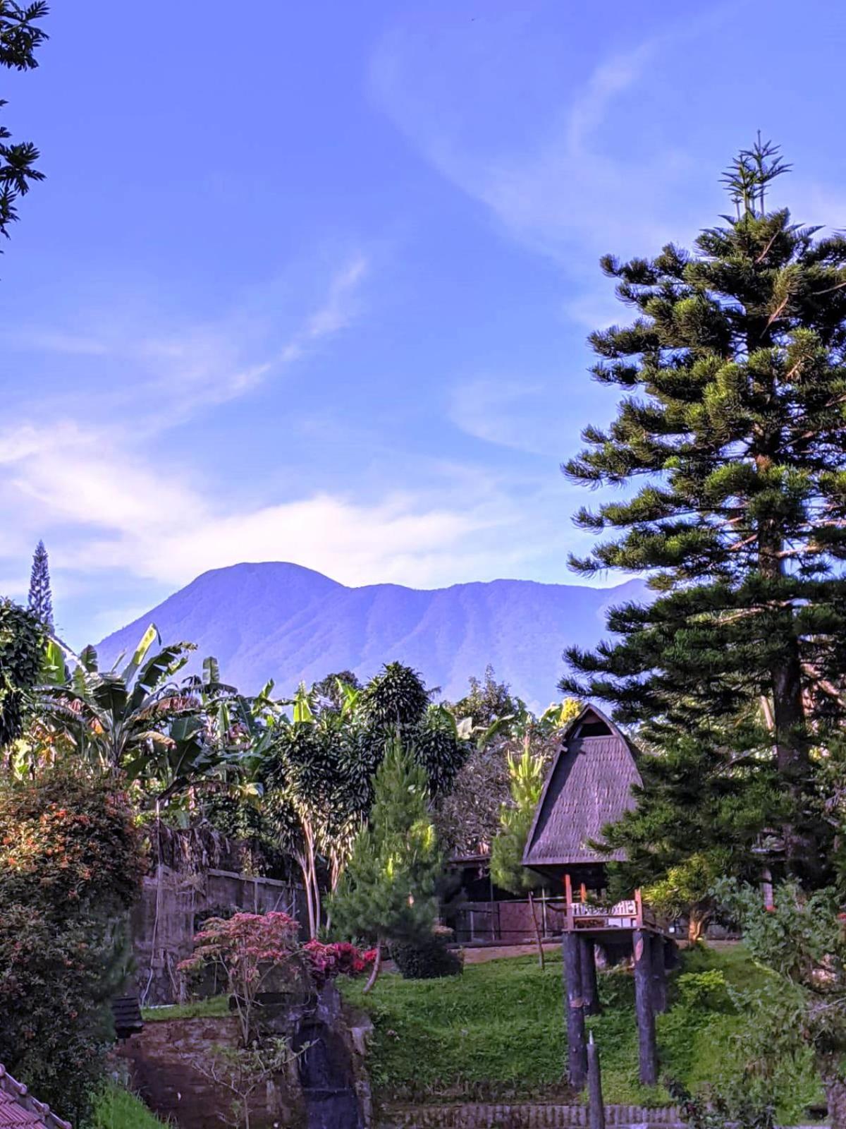 Erema Village, 보고르 - 17