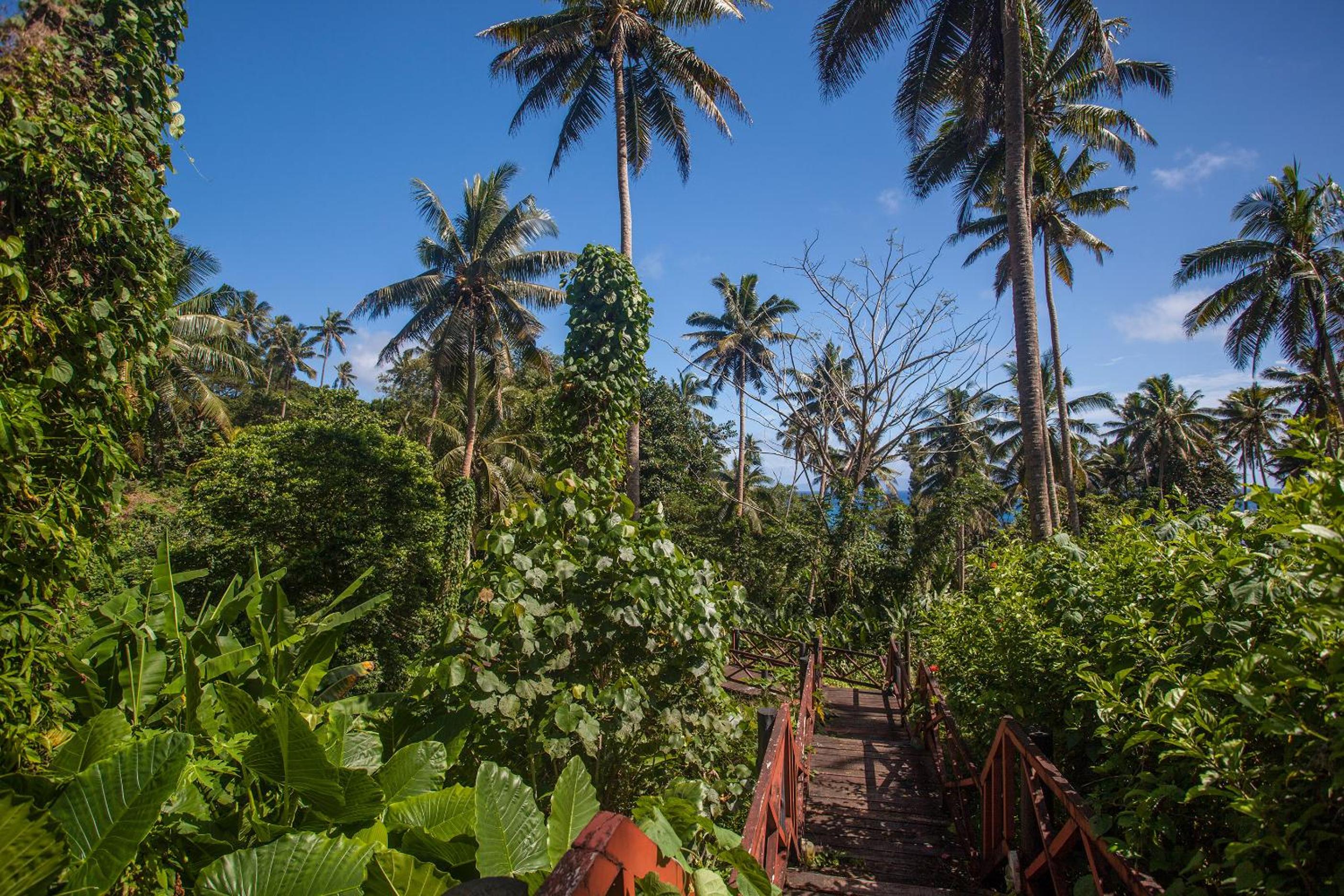 Maravu Taveuni Lodge