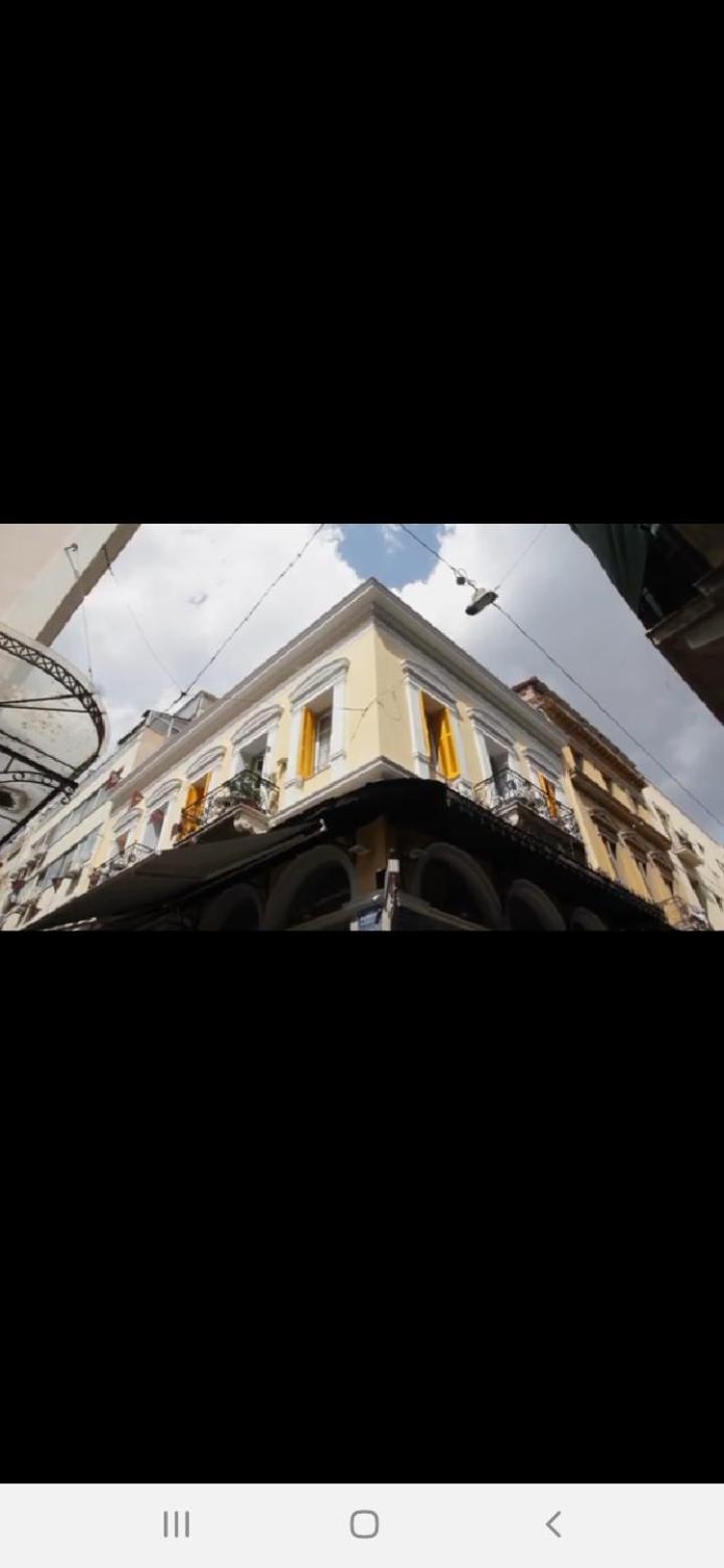 The monumental house