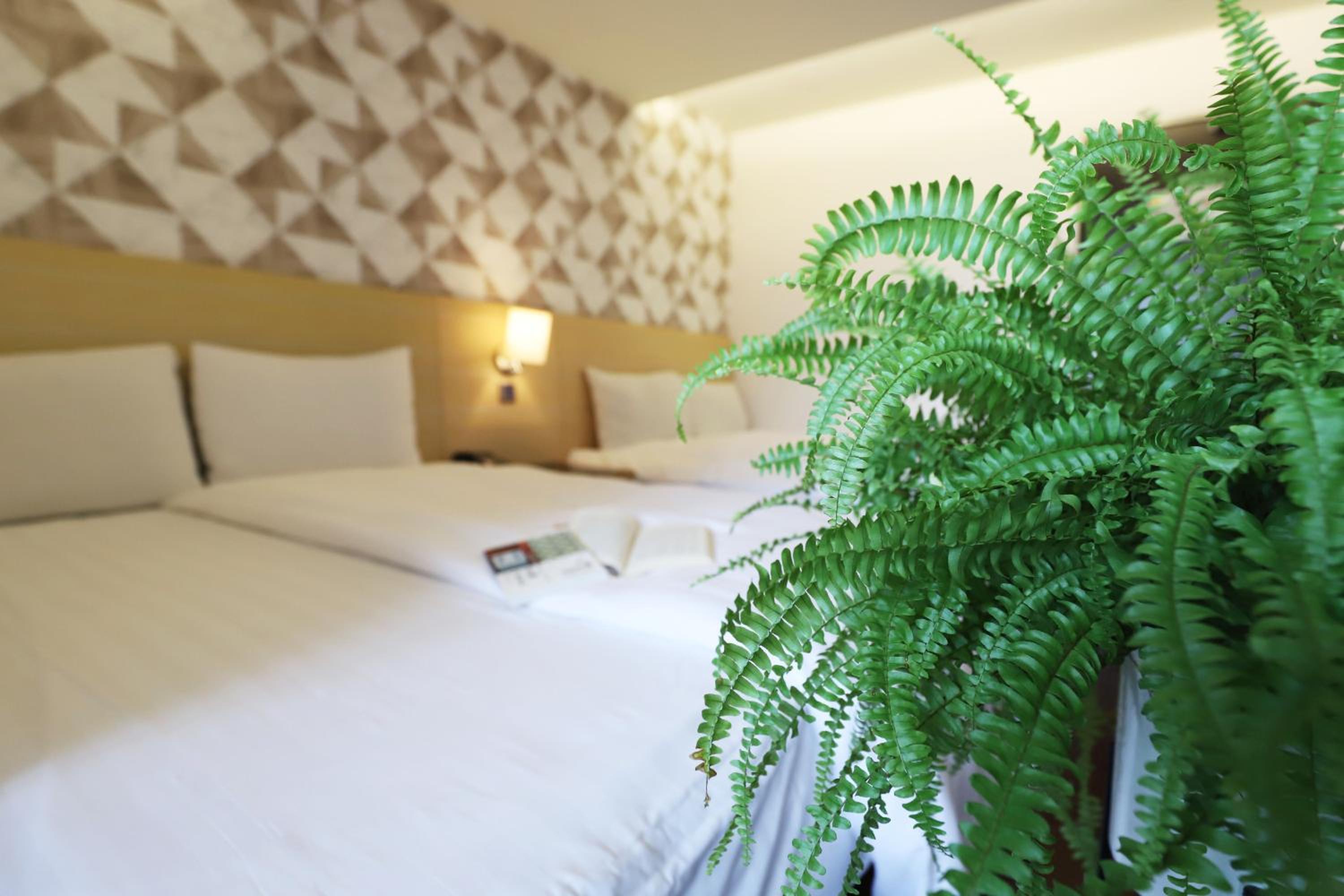 Dream 12 Hotel — photo 70