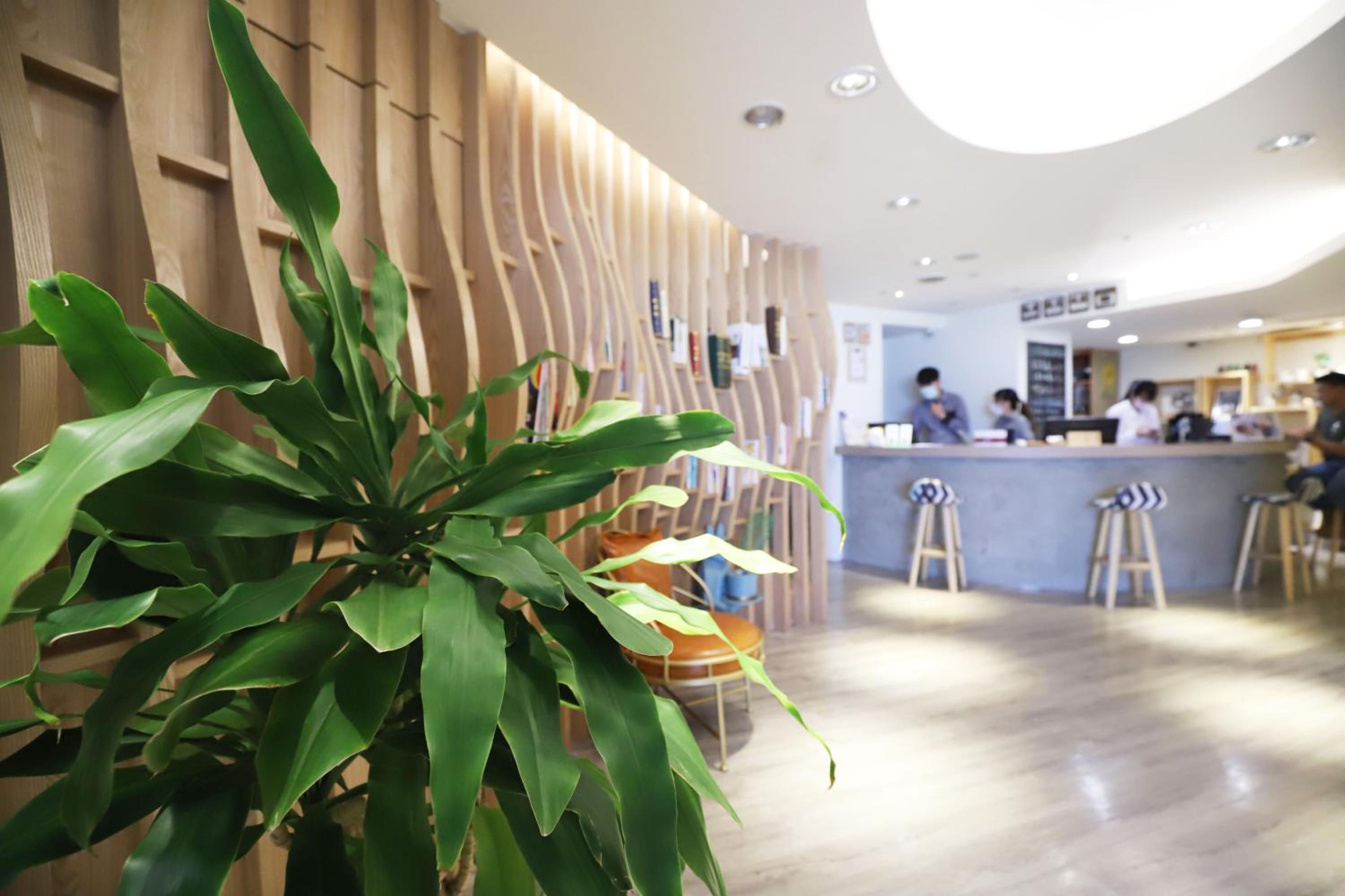 Dream 12 Hotel — photo 18