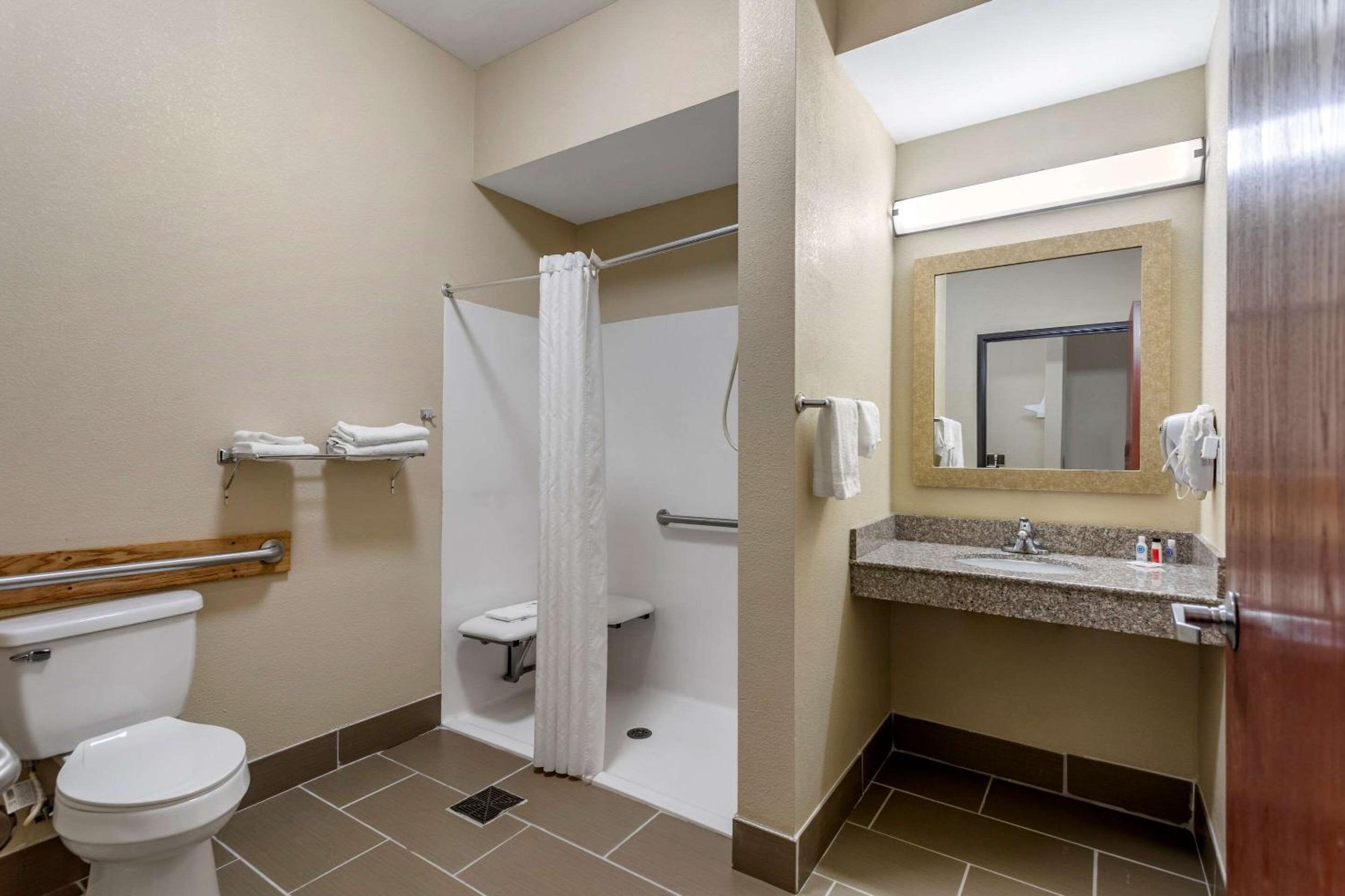 Carbondale Vacations - Comfort Inn  Suites Carbondale University Area - Property Image 22